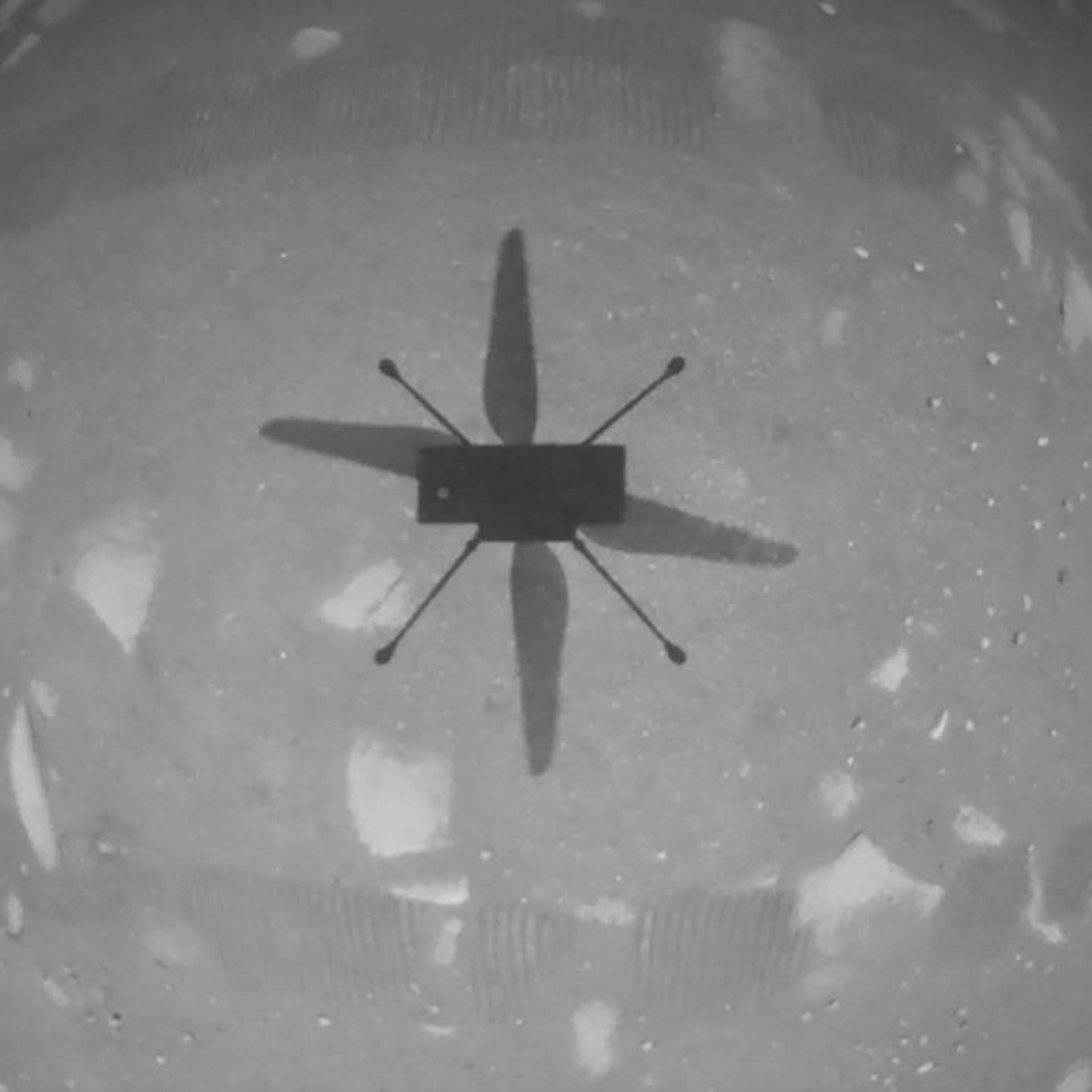 A downward facing camera aboard the Ingenuity helicopter captures the vehicle's shadow as it hovers about 3 meters off the ground.