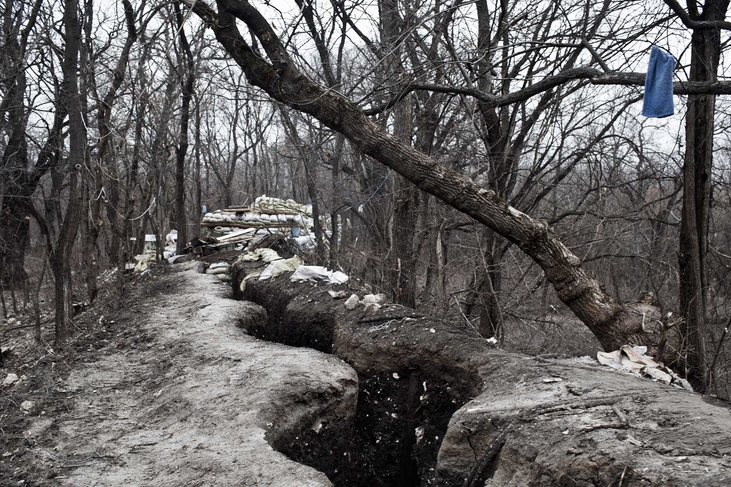 The Ukrainian Front
