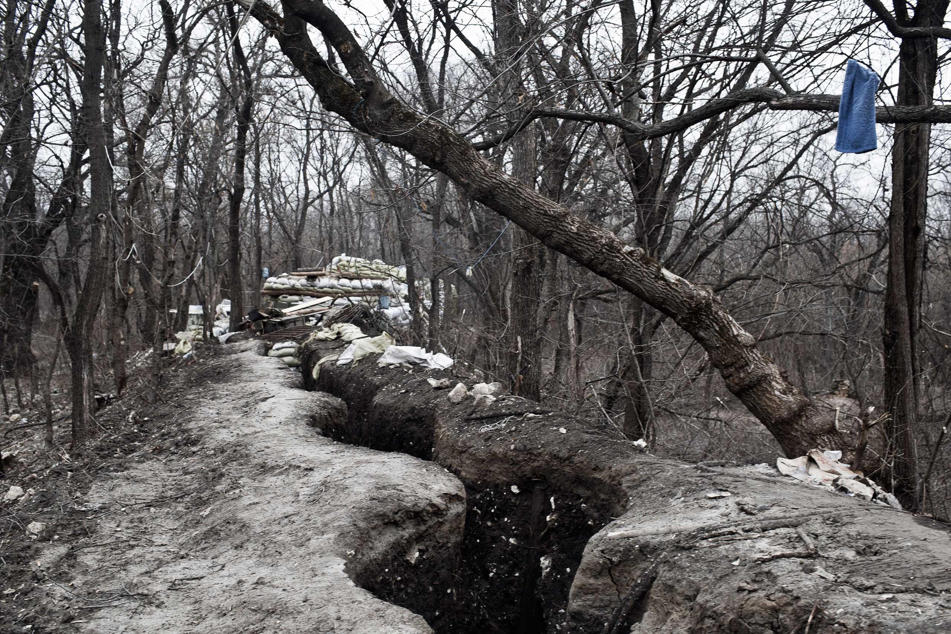 The Ukrainian Front
