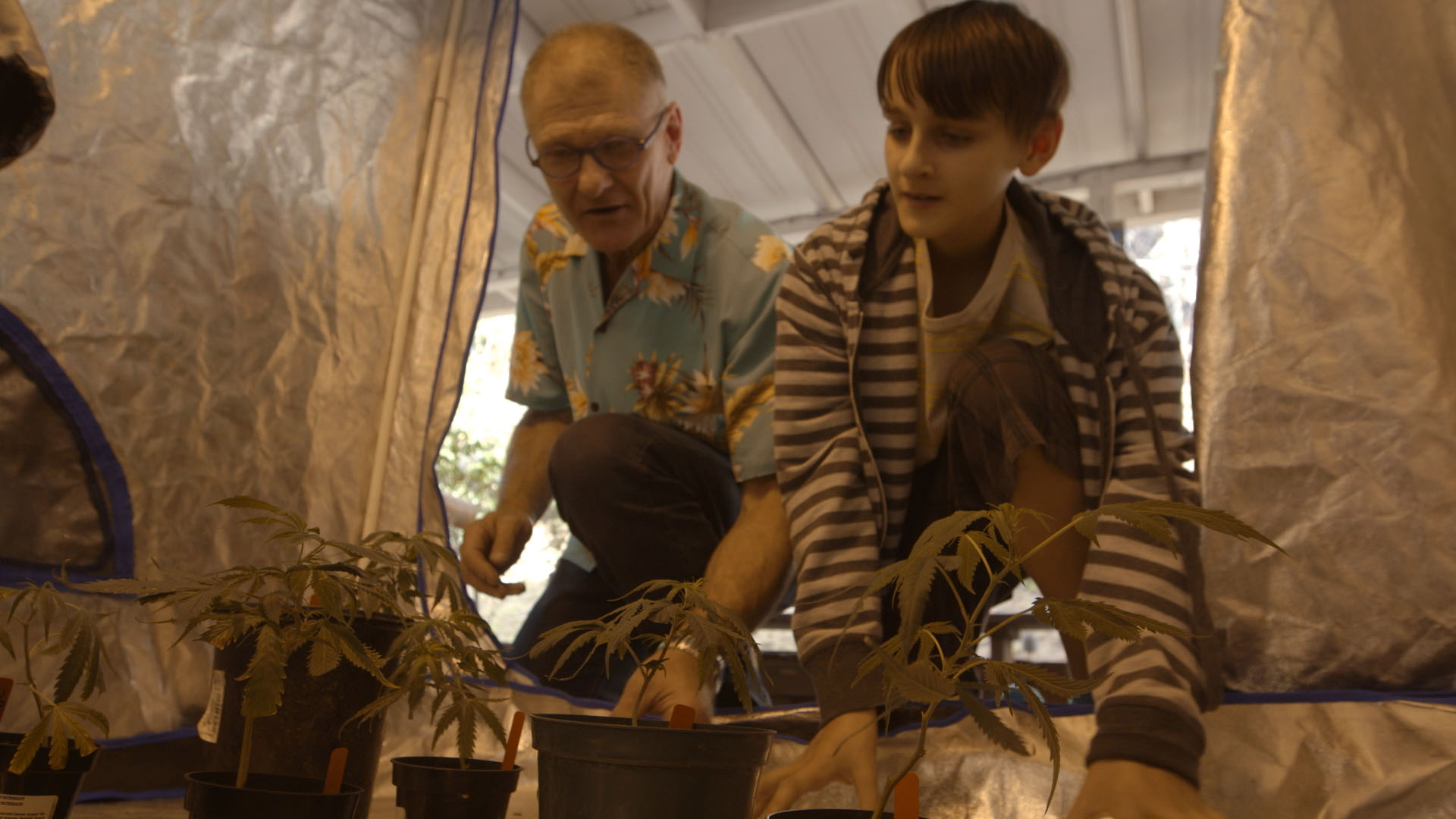 weed-the-people