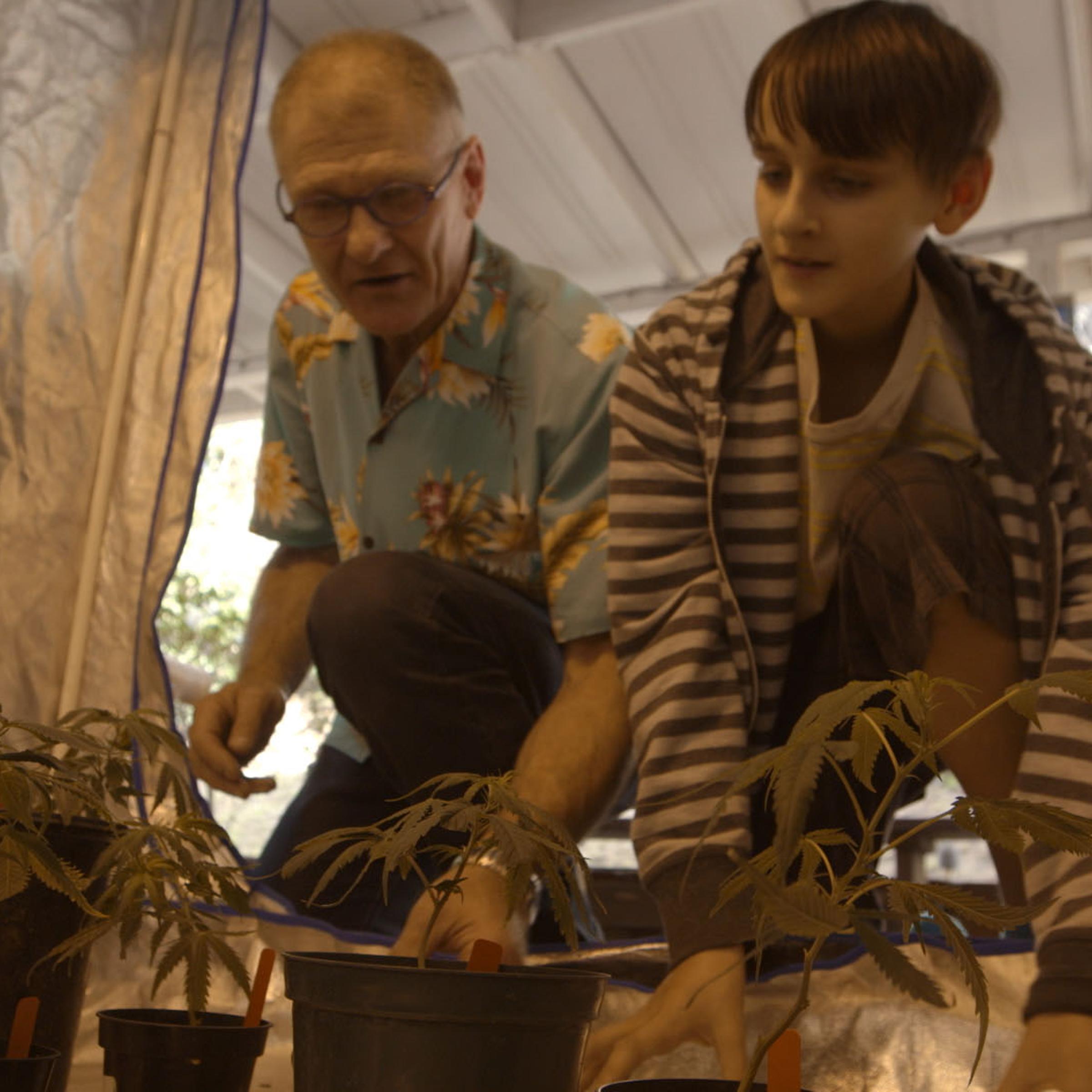 weed-the-people
