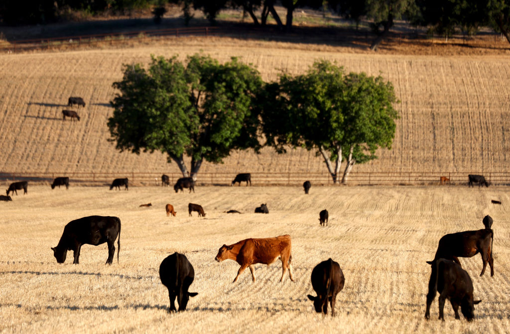 California In Third Consecutive Year Of Drought