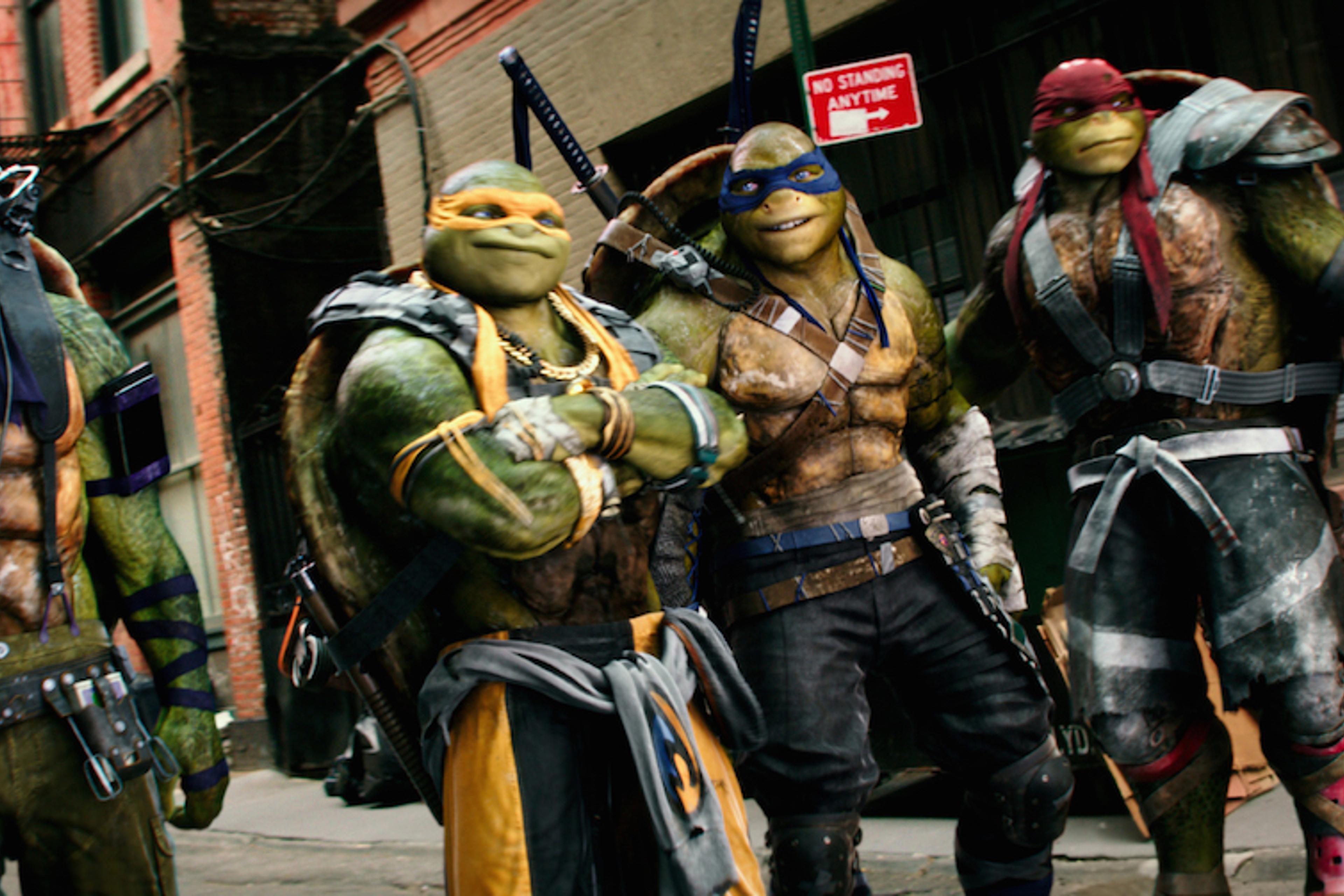 A Lean, Green, and Mean Guide to the Teenage Mutant Ninja Turtles A Lean, Green, and Mean Guide to the Teenage Mutant Ninja Turtles