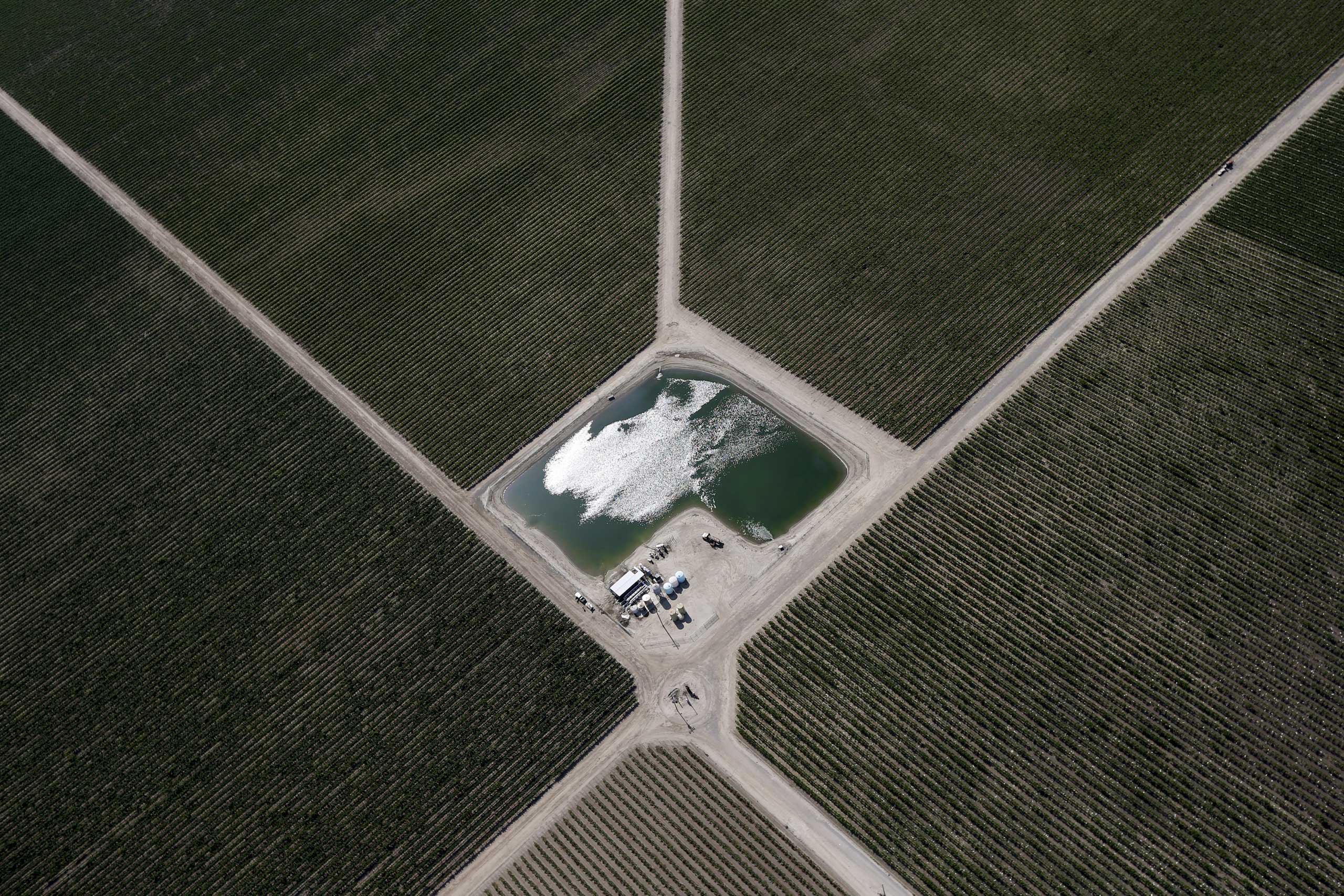 "In the Central Valley, where most agricultural water use occurs, the failure to manage groundwater sustainably limits its availability as a drought reserve. The increase in perennial crops—which need to be watered every year—has made the region even mor