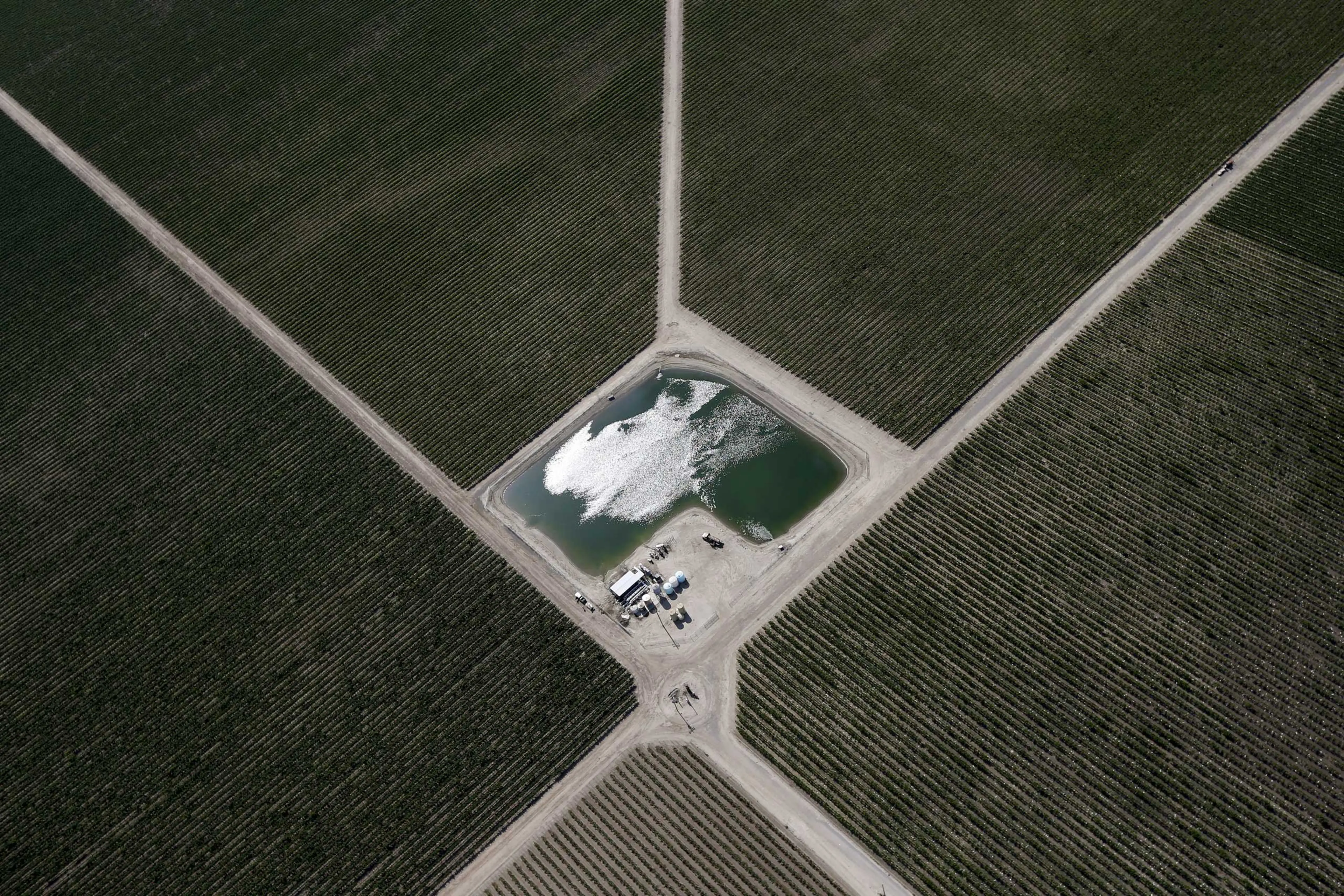"In the Central Valley, where most agricultural water use occurs, the failure to manage groundwater sustainably limits its availability as a drought reserve. The increase in perennial crops—which need to be watered every year—has made the region even mor