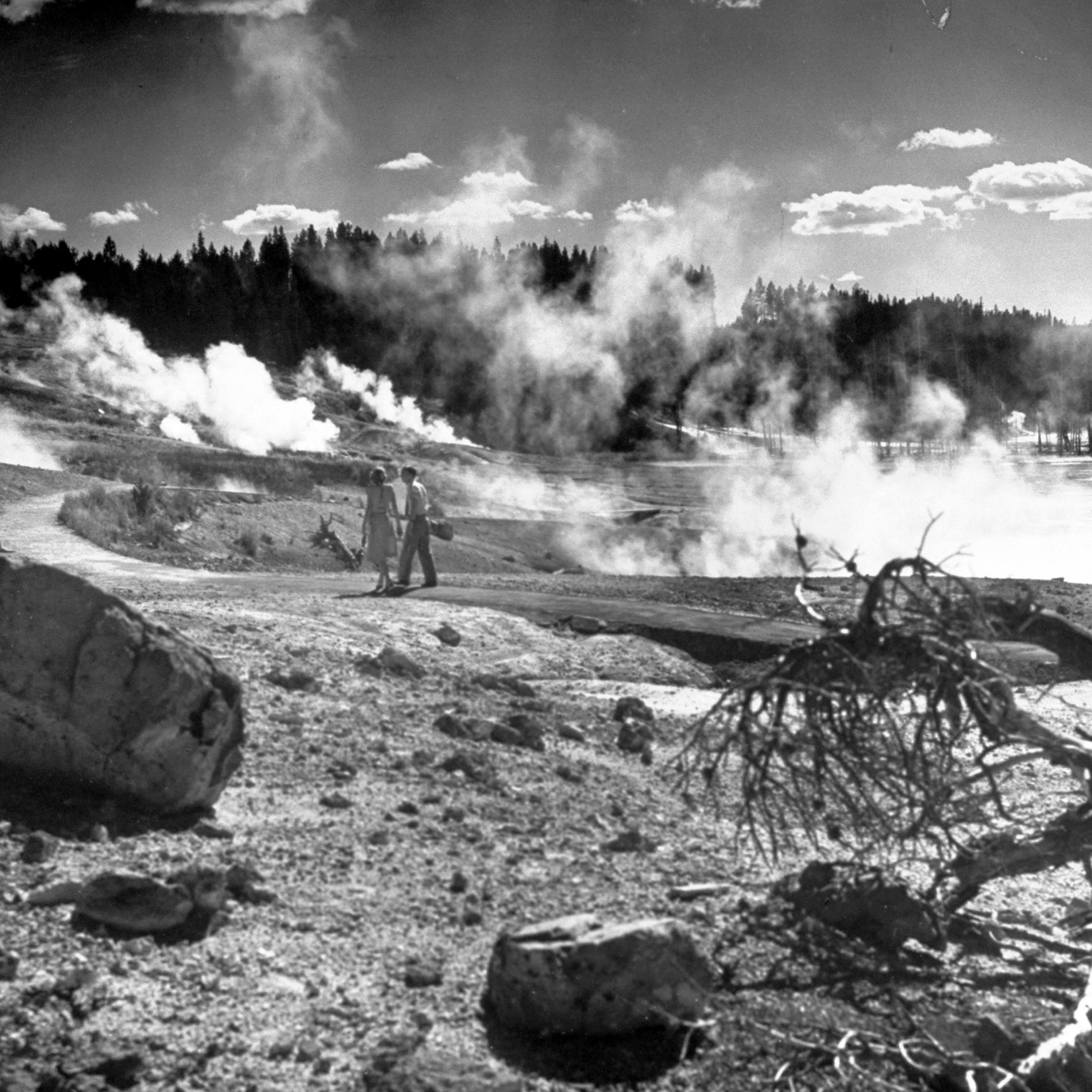 Yellowstone National Park 1946