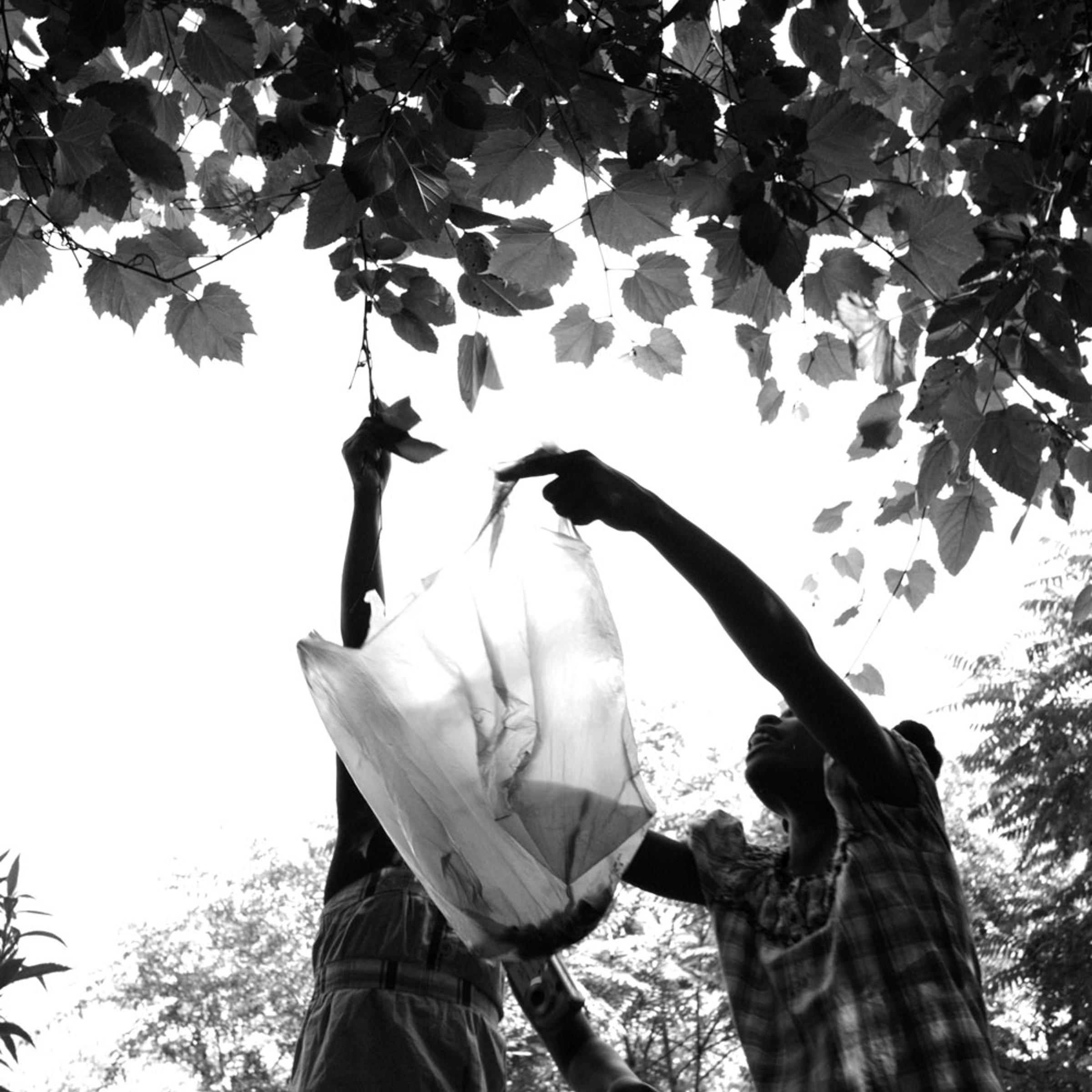 Children find and harvest mulberries in Eddie Harris’s garden.