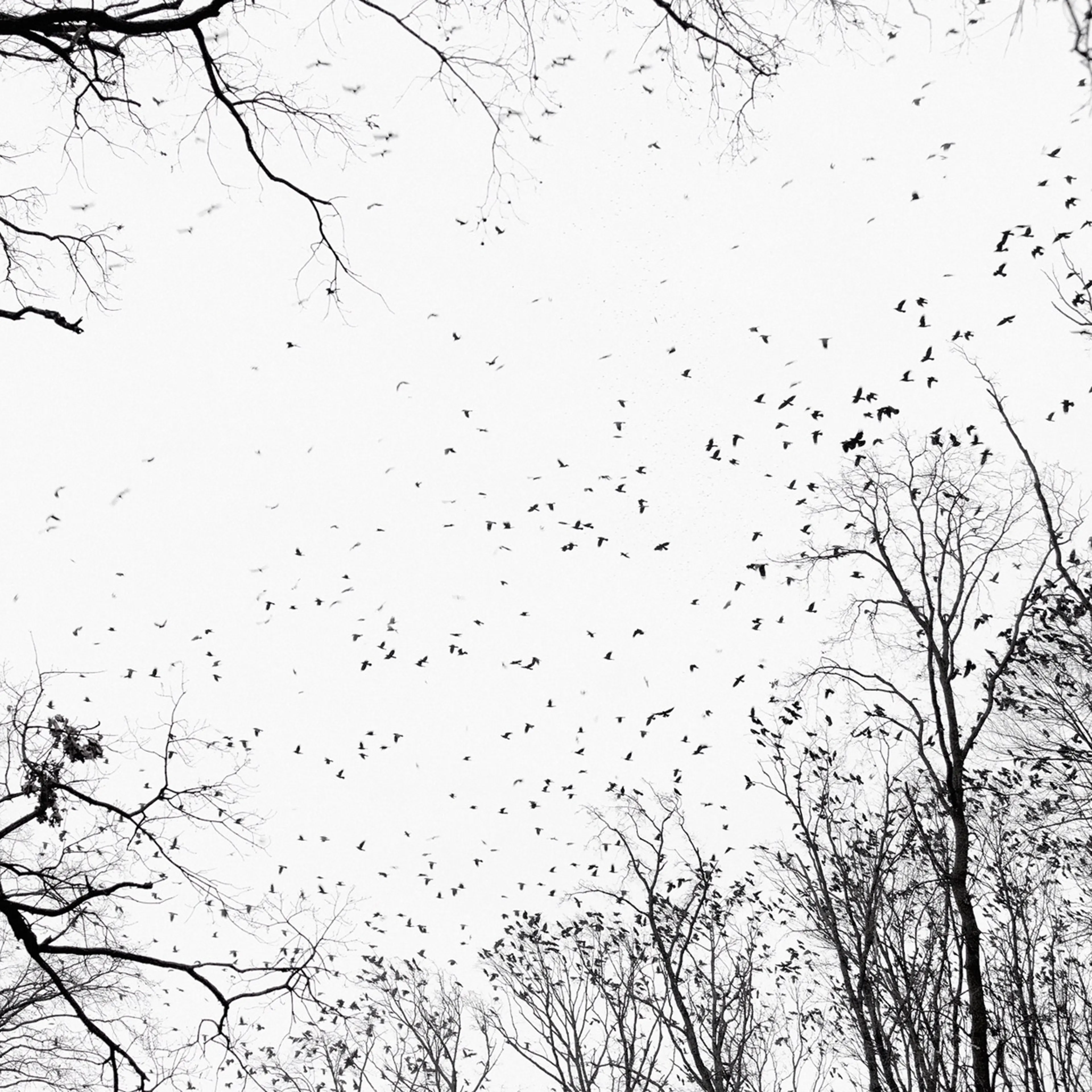 Here, Anywhere—Tamas Dezso