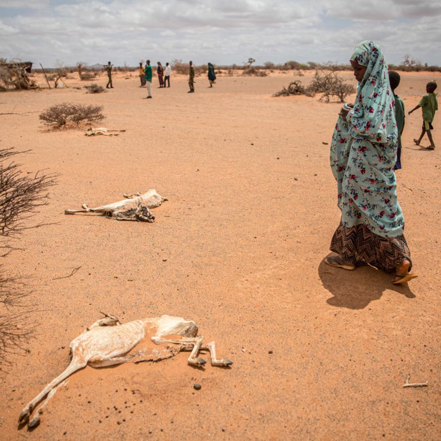A child displaced by drought holds her nose as she walks