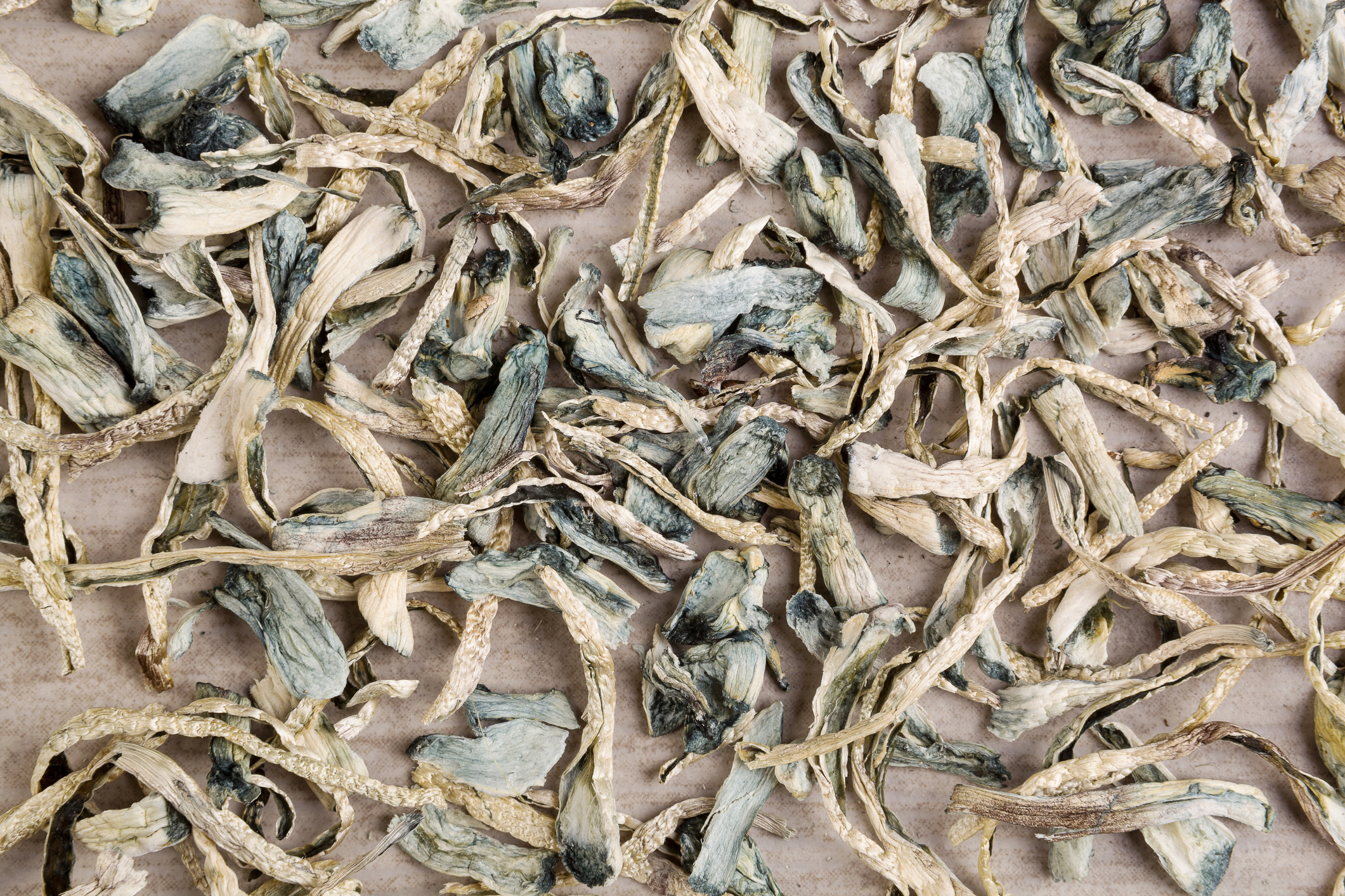 Psychoactive dry magic mushrooms.