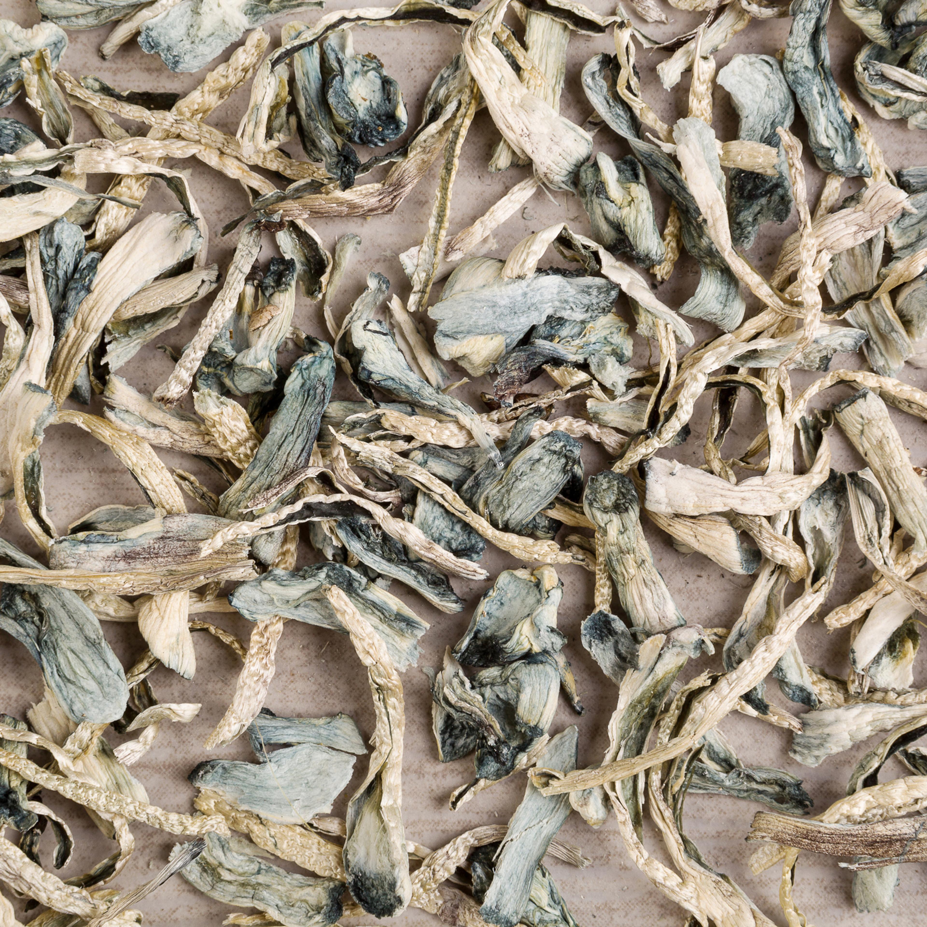 Psychoactive dry magic mushrooms.
