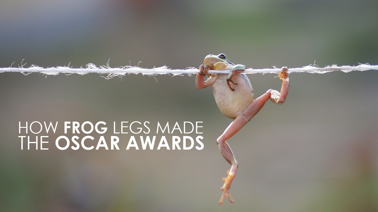 Science explains how frog legs made the Oscar Awards possible