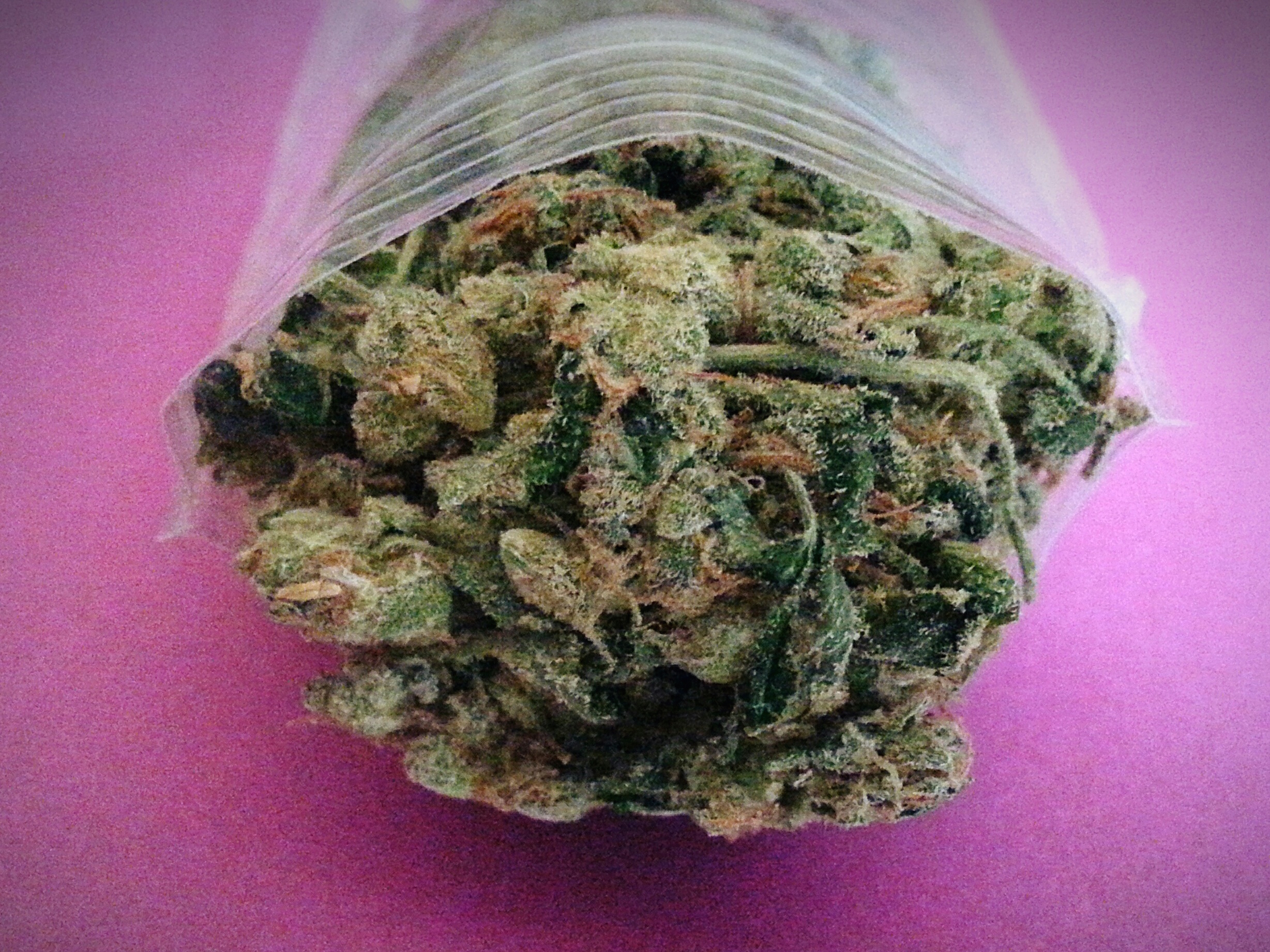 Cannabis In Plastic Bag