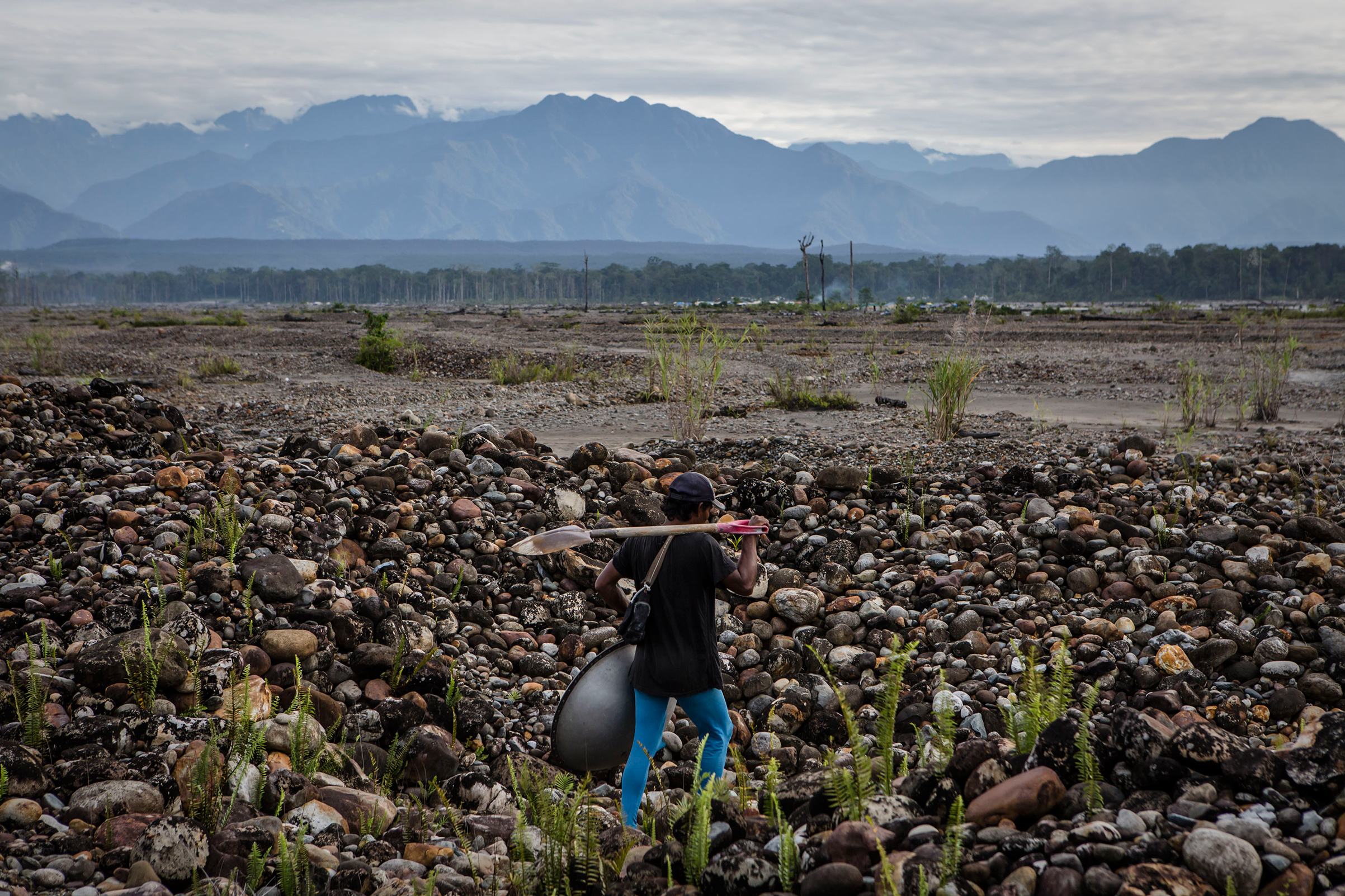 Papua: Poverty and Death in Indonesia's Land of Gold