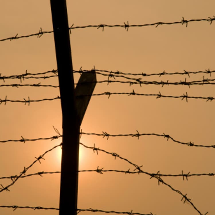 barbed-wire-fence