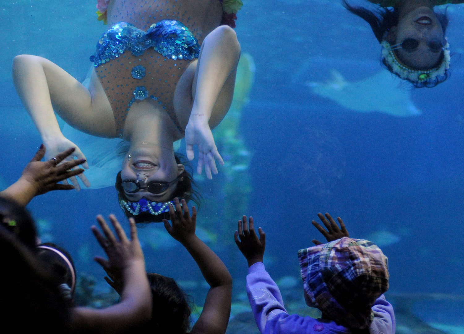 Divers in mermaid costumes perform during the Flores de Mayo or 'Flowers of May' festival at the Ocean Park Oceanarium in Manila on May 23, 2014.