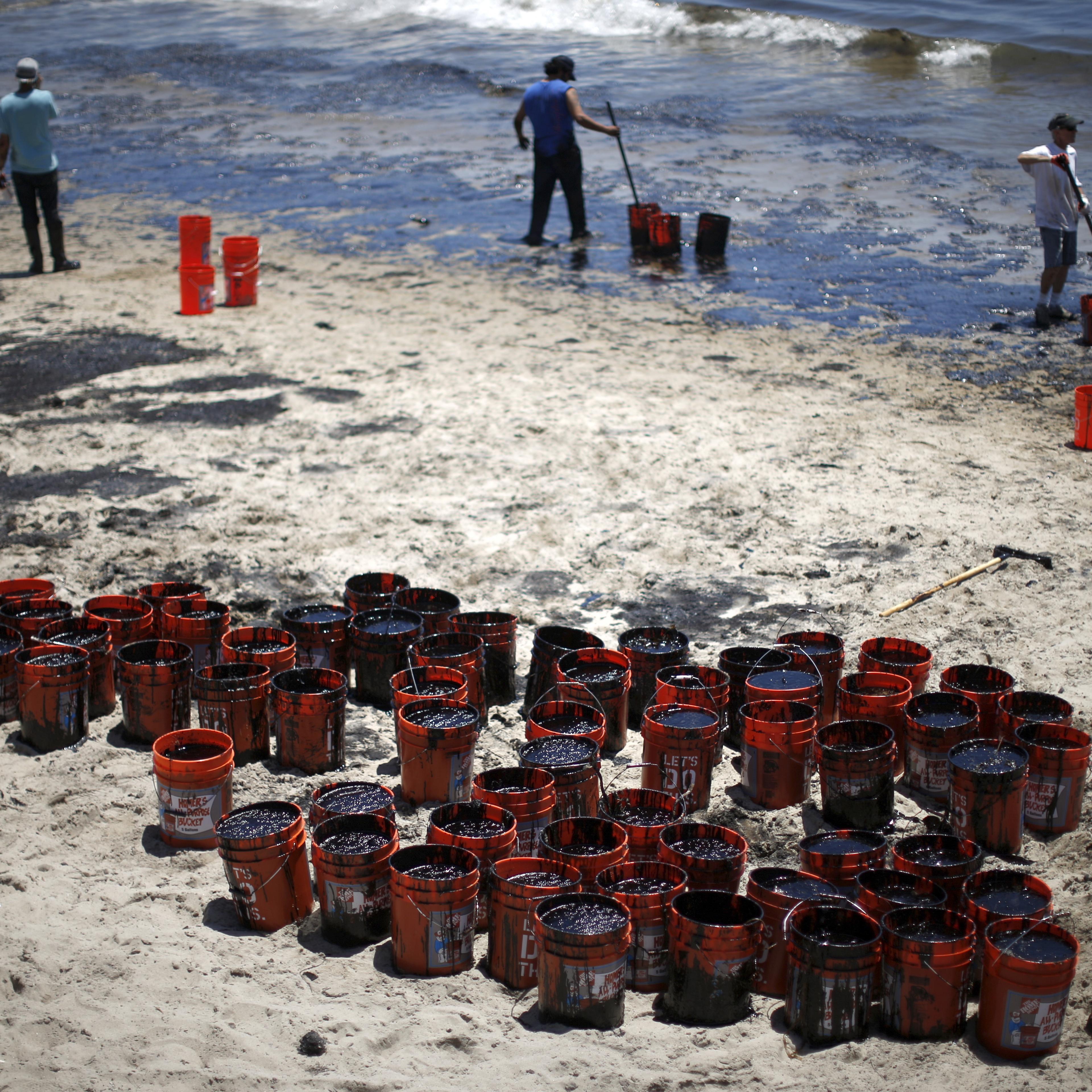 Volunteers fill buckets with oil from an oil slick along the coast of Refugio State Beach in Goleta