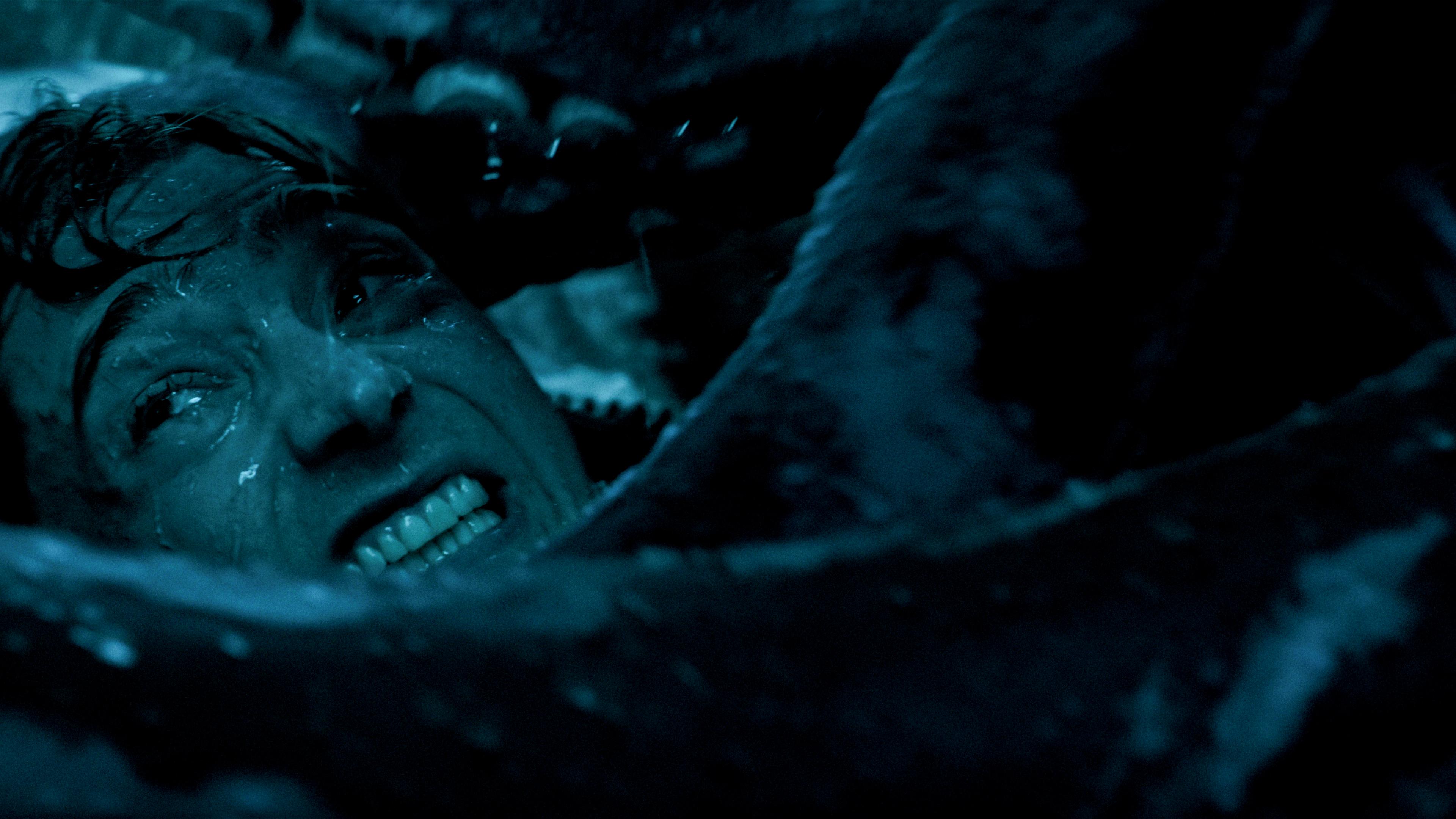 Whalefall Is the Most Disgusting Tearjerker You'll See This Year