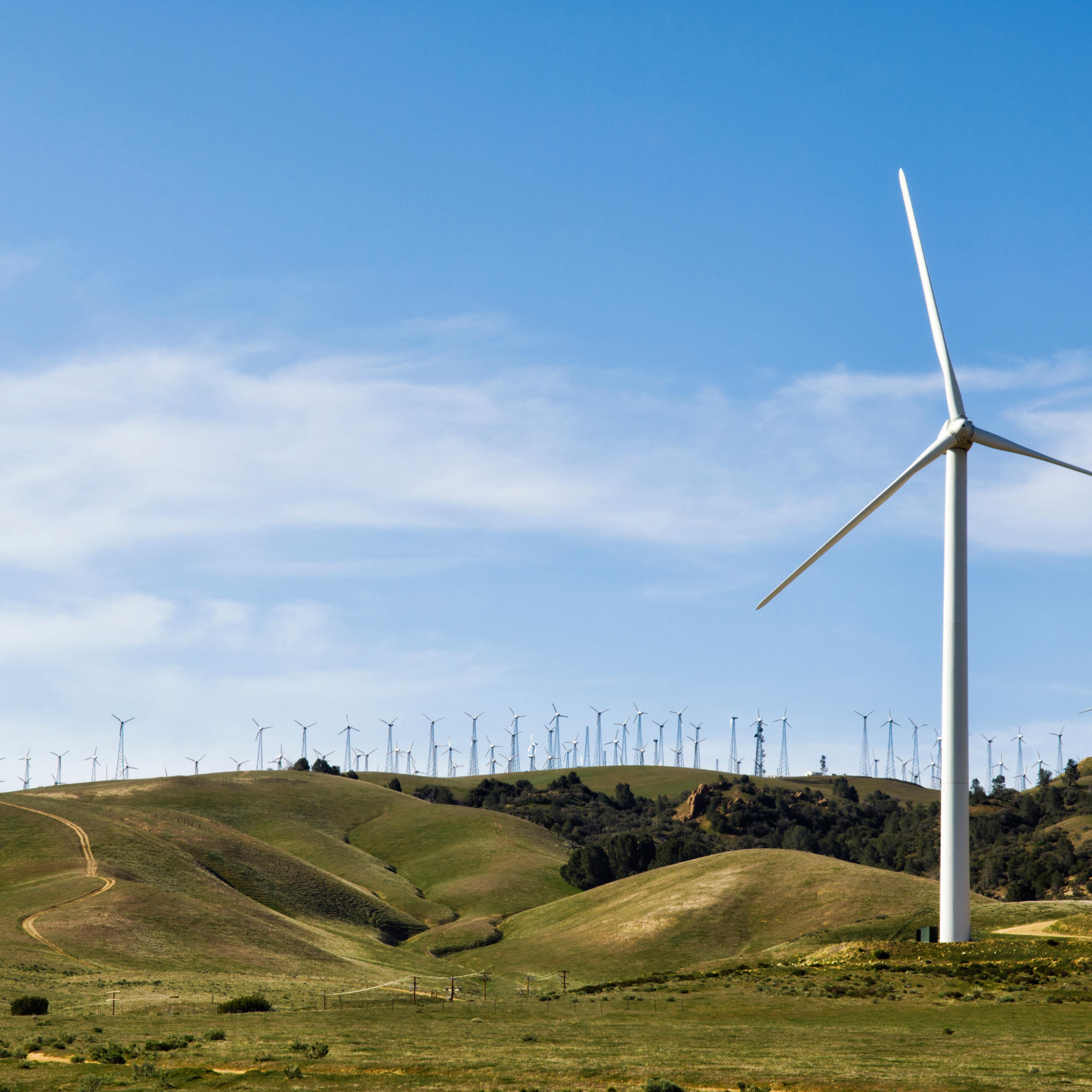 wind-turbines-renewable-energy
