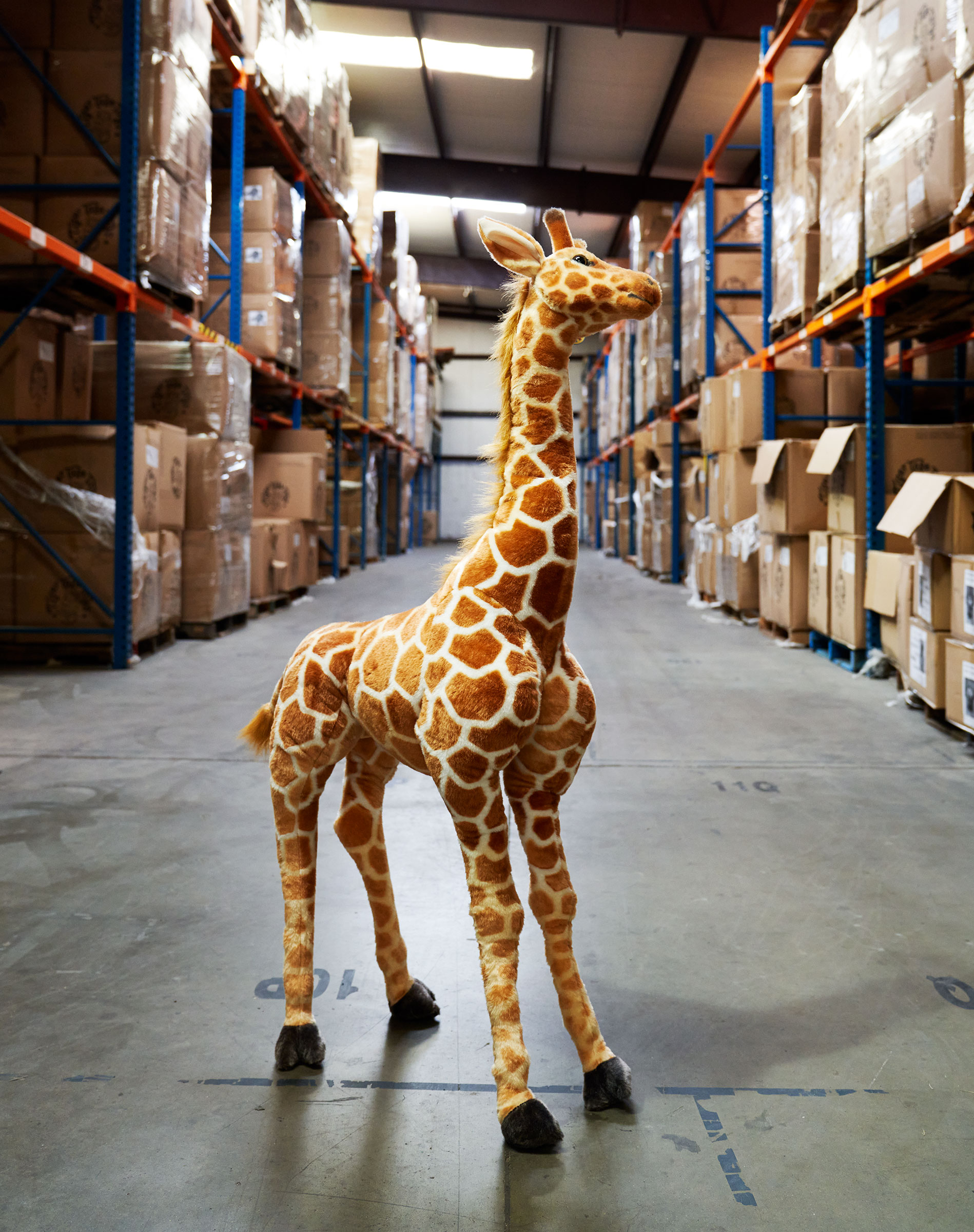 inflation jani the giraffe