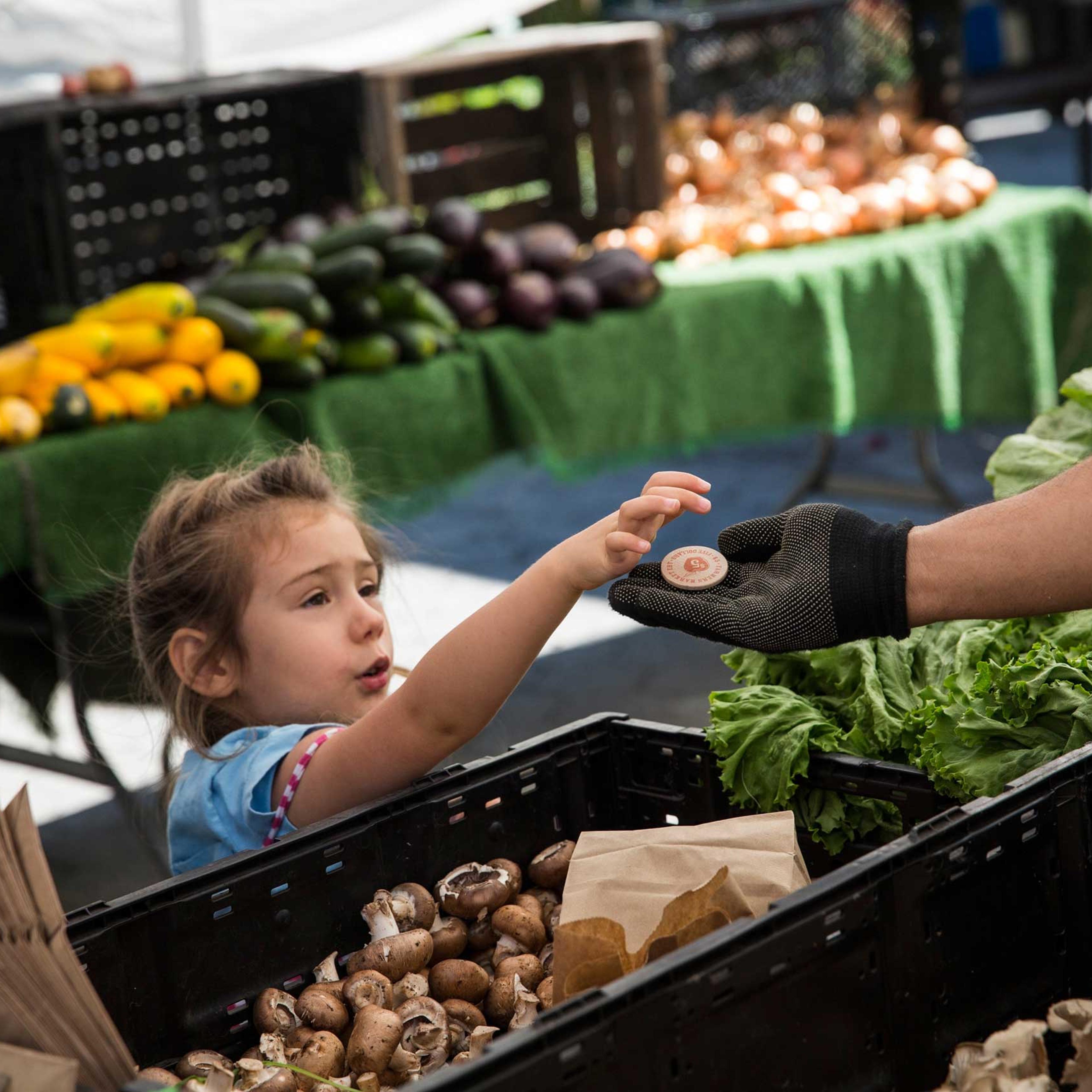 A girl pays for her mother's groceries using Electronic Benefits Transfer tokens, more commonly known as Food Stamps, at the GrowNYC Greenmarket in Union Square in New York in 2013.