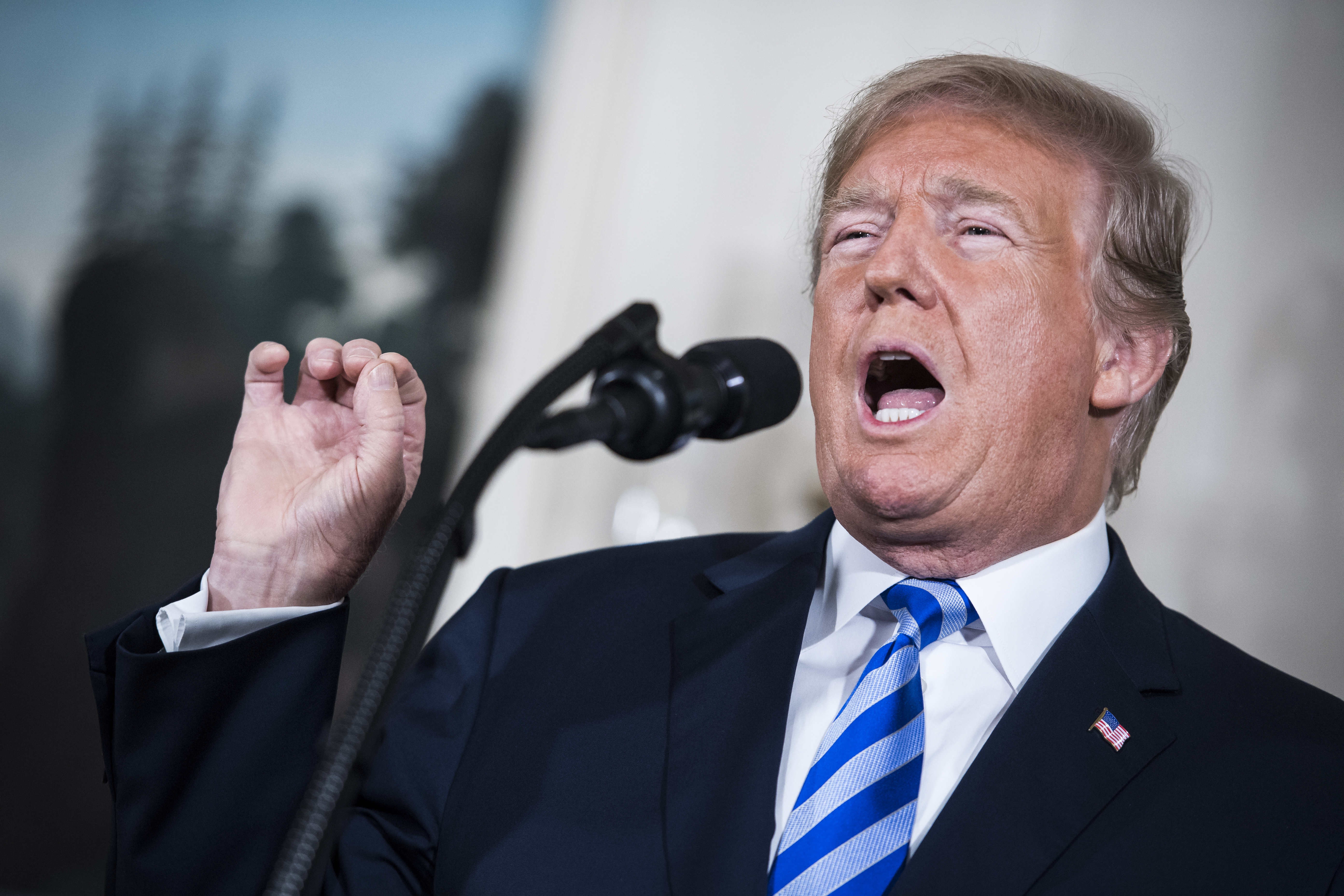 President Donald J. Trump