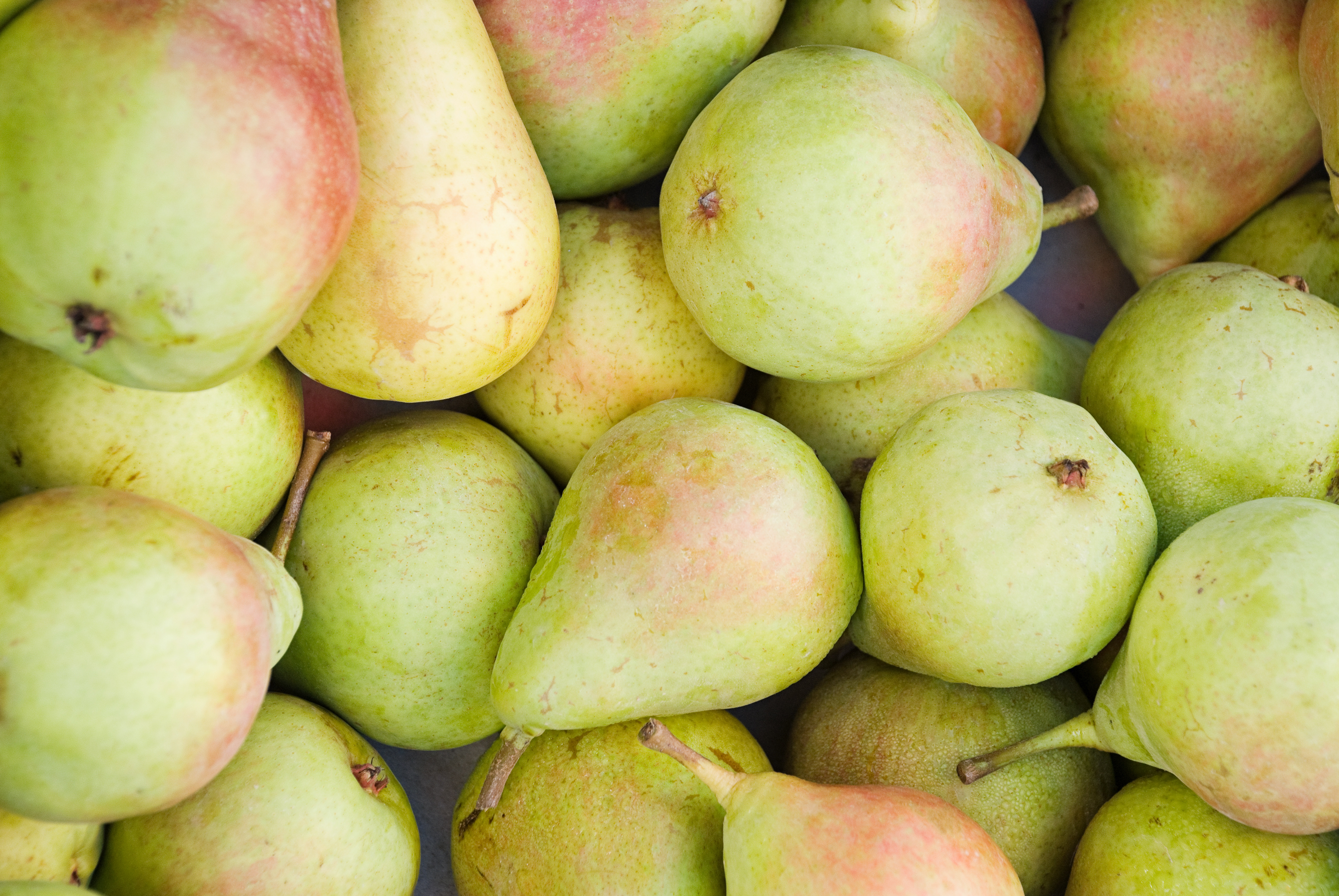 5 Fruits and Vegetables In Season In October