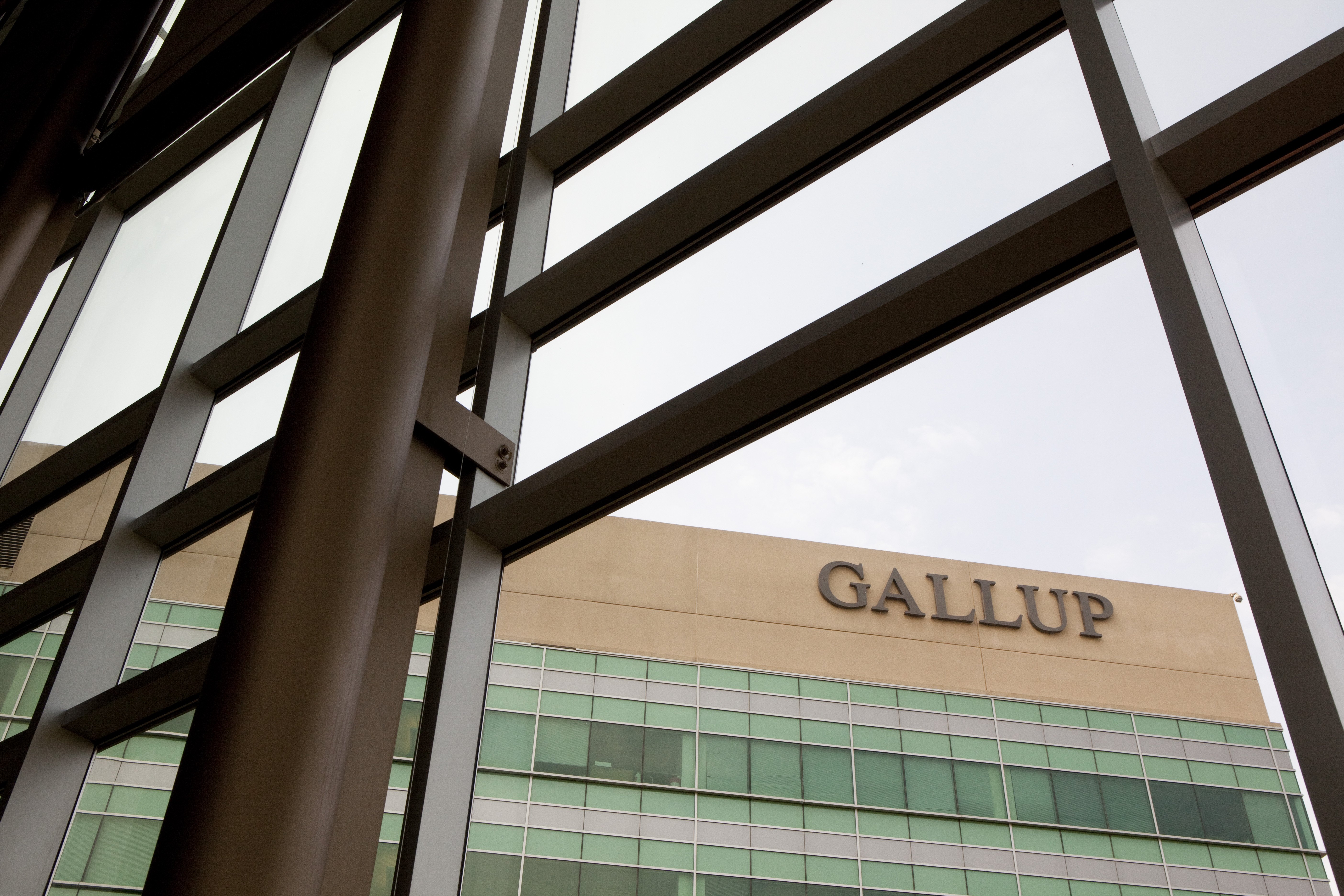 Gallup Polling