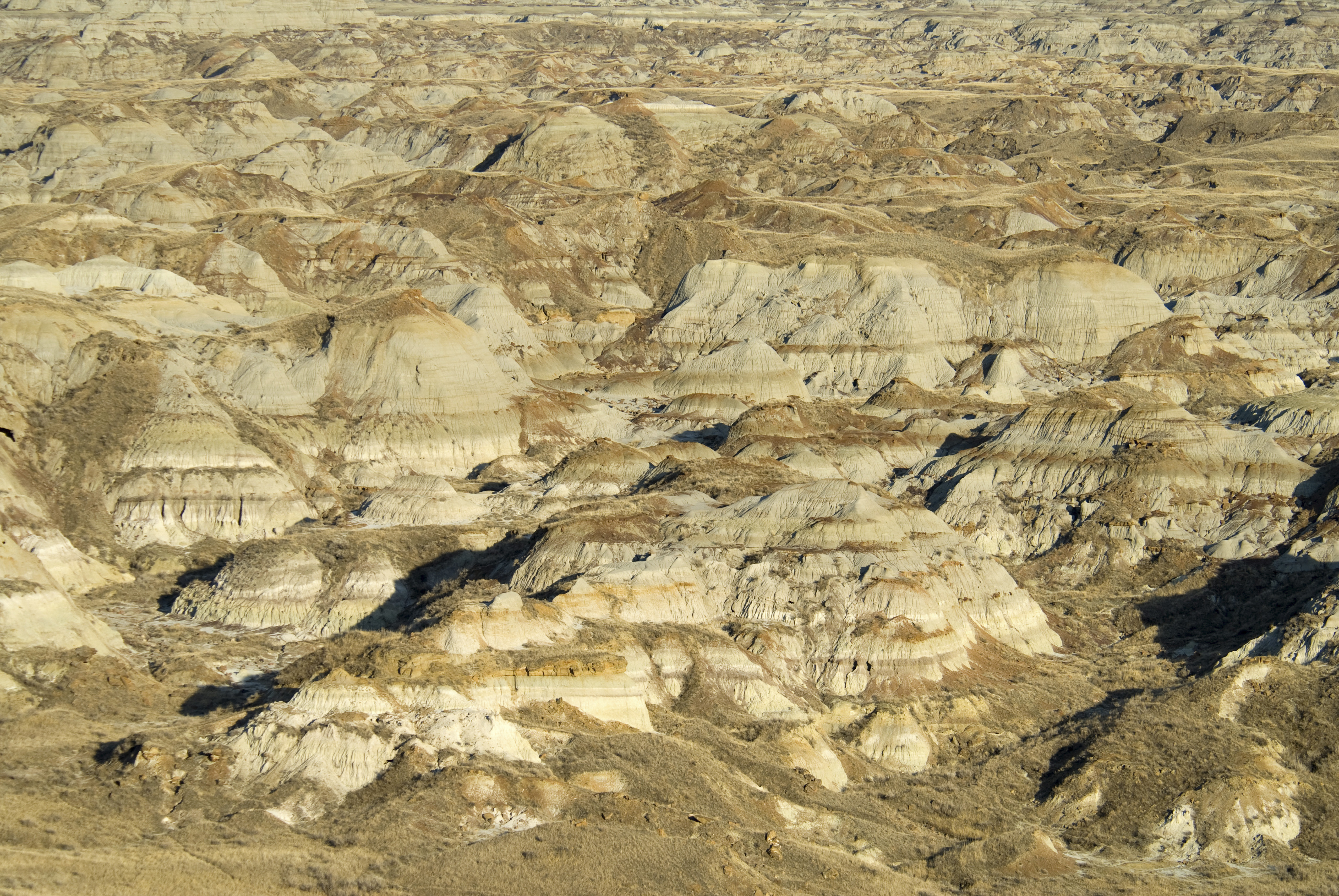 Dinosaur Provincial Park near Brooks UNESCO World Heritage Site