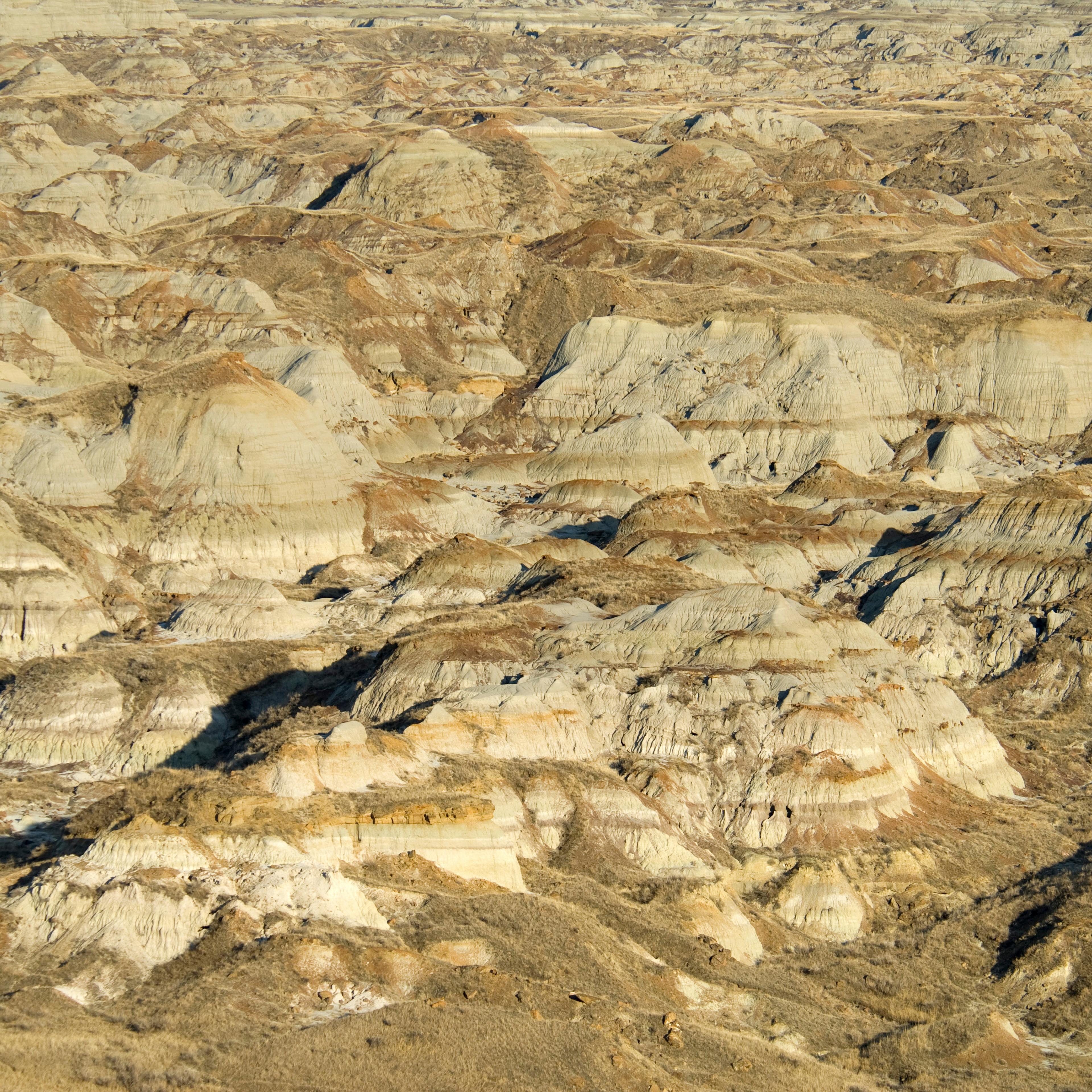 Dinosaur Provincial Park near Brooks UNESCO World Heritage Site