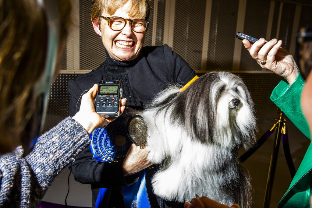 Inside The 143rd Westminster Kennel Club Dog Show