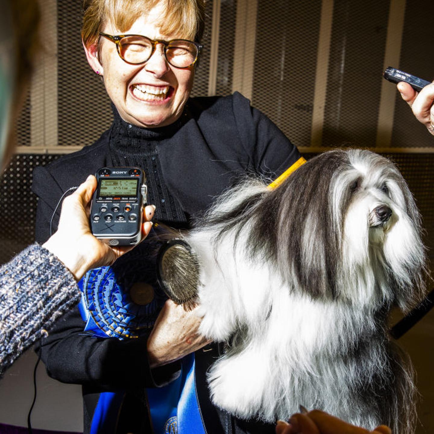 Inside The 143rd Westminster Kennel Club Dog Show