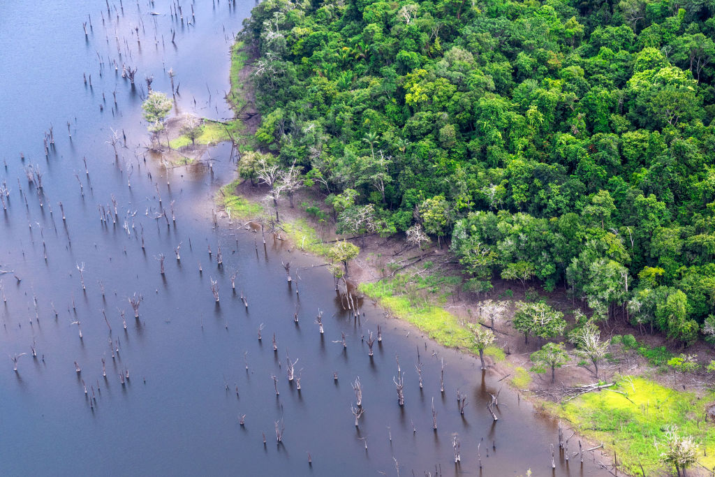 A river running through the Amazon rainforest in Brazil, on Jan. 2, 2023.