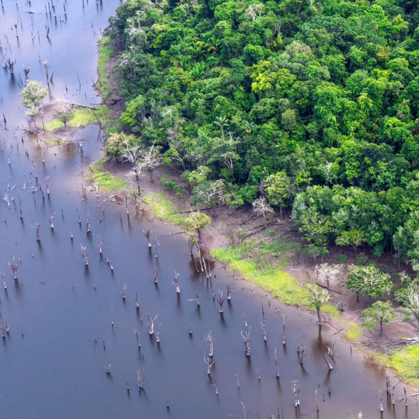 A river running through the Amazon rainforest in Brazil, on Jan. 2, 2023.
