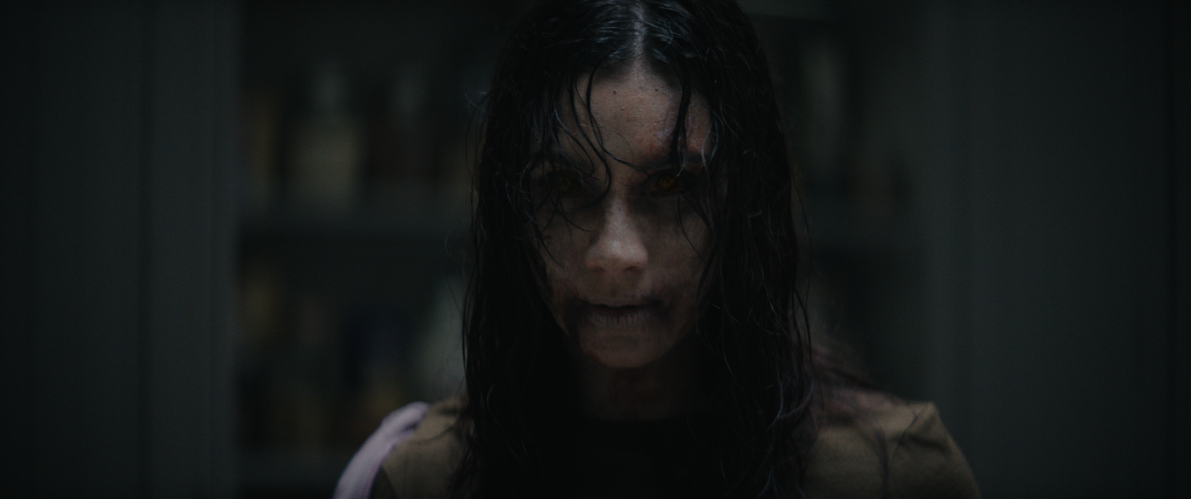 How Evil Dead Burn Fits Into the Long-Running Horror Franchise How Evil Dead Burn Fits Into the Long-Running Horror Franchise
