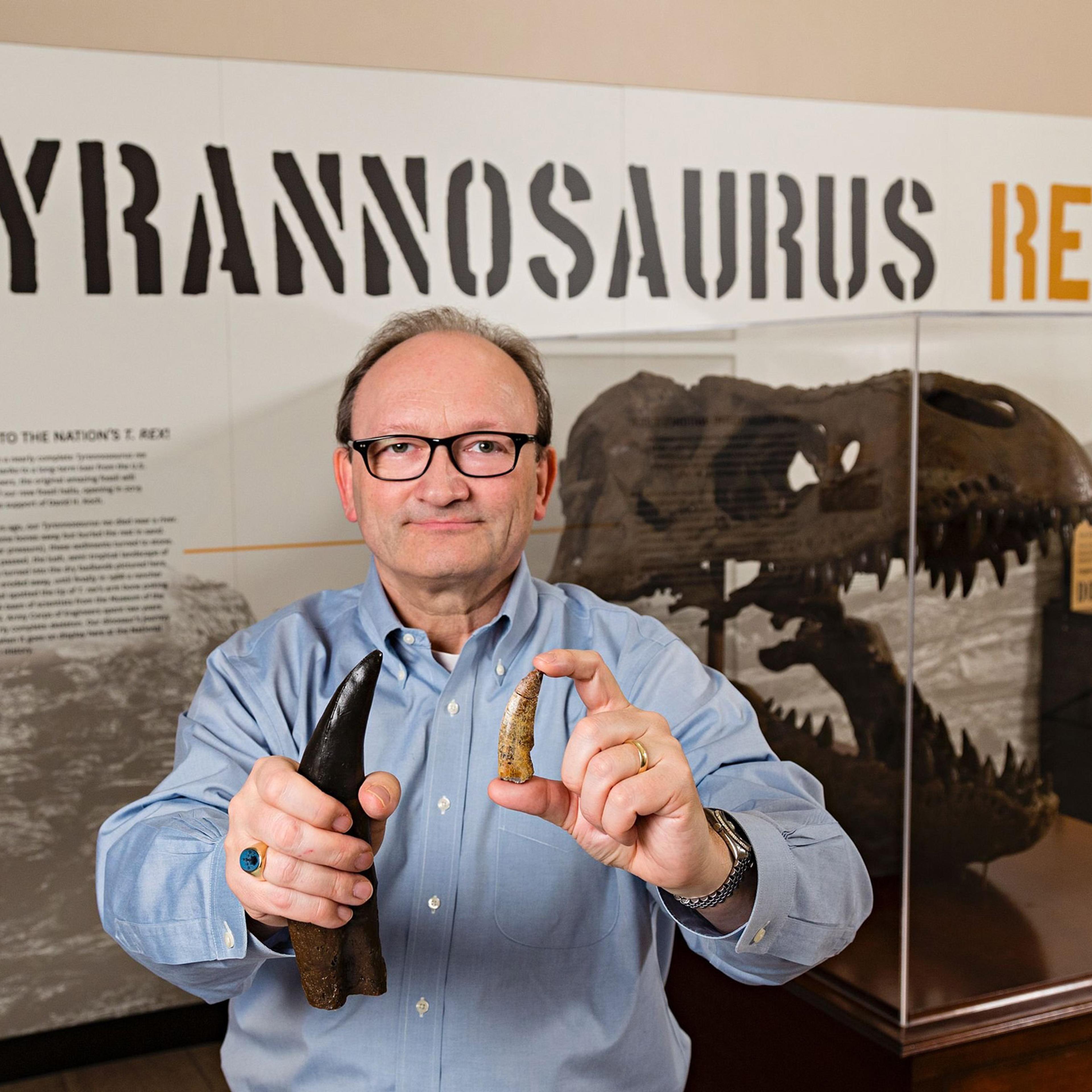 This March 4, 2016 photo provided by the Smithsonian Institution shows Hans Sues, Chair, Department of Paleobiology, National Museum of Natural History, Smithsonian Institution holding a cast (right hand) of a Tyrannosaurus Rex tooth for comparison with