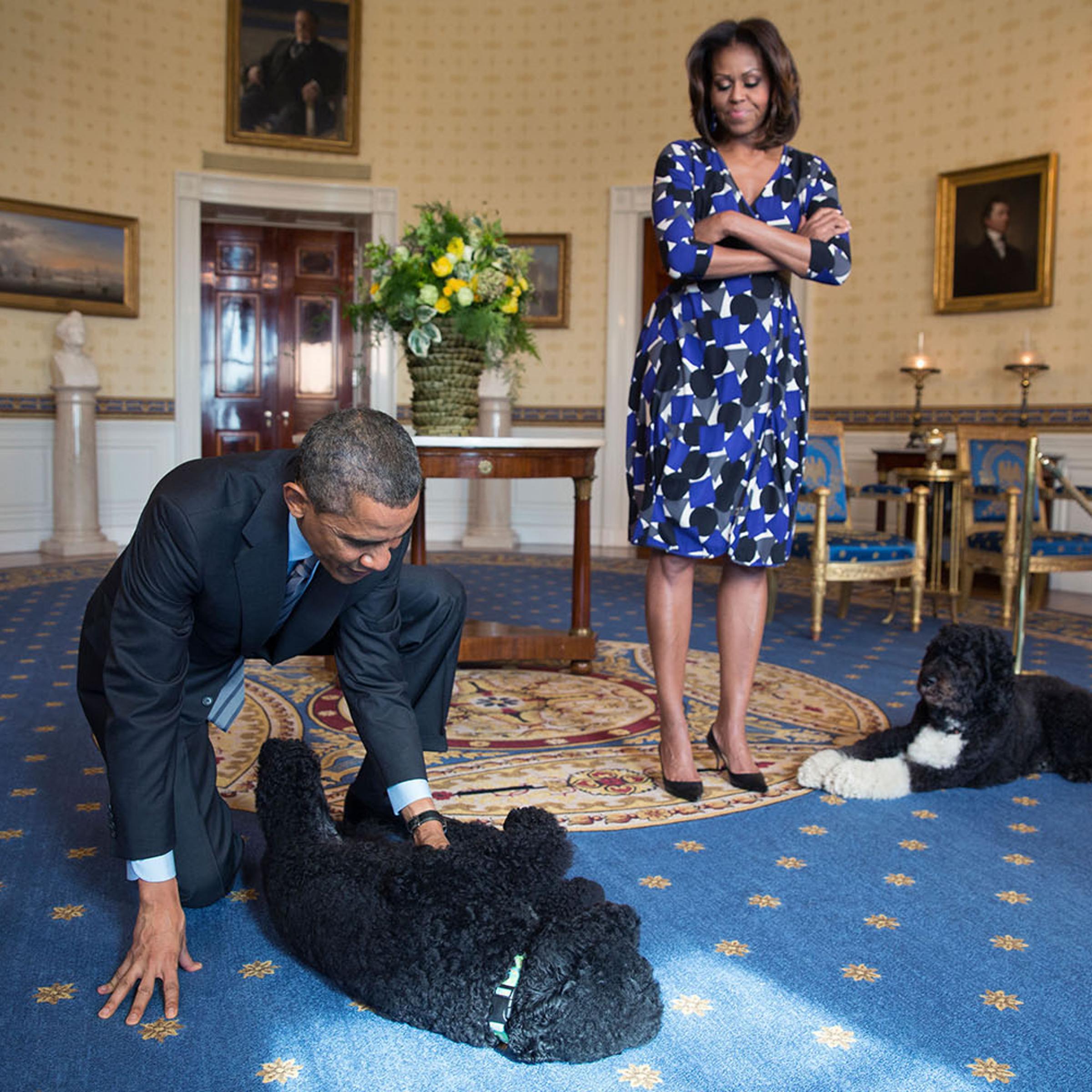Barack Obama and Michelle Obama, joined by family pets Sunny and Bo, wait to greet visitors in the Blue Room during a White House tour, Nov. 5, 2013.