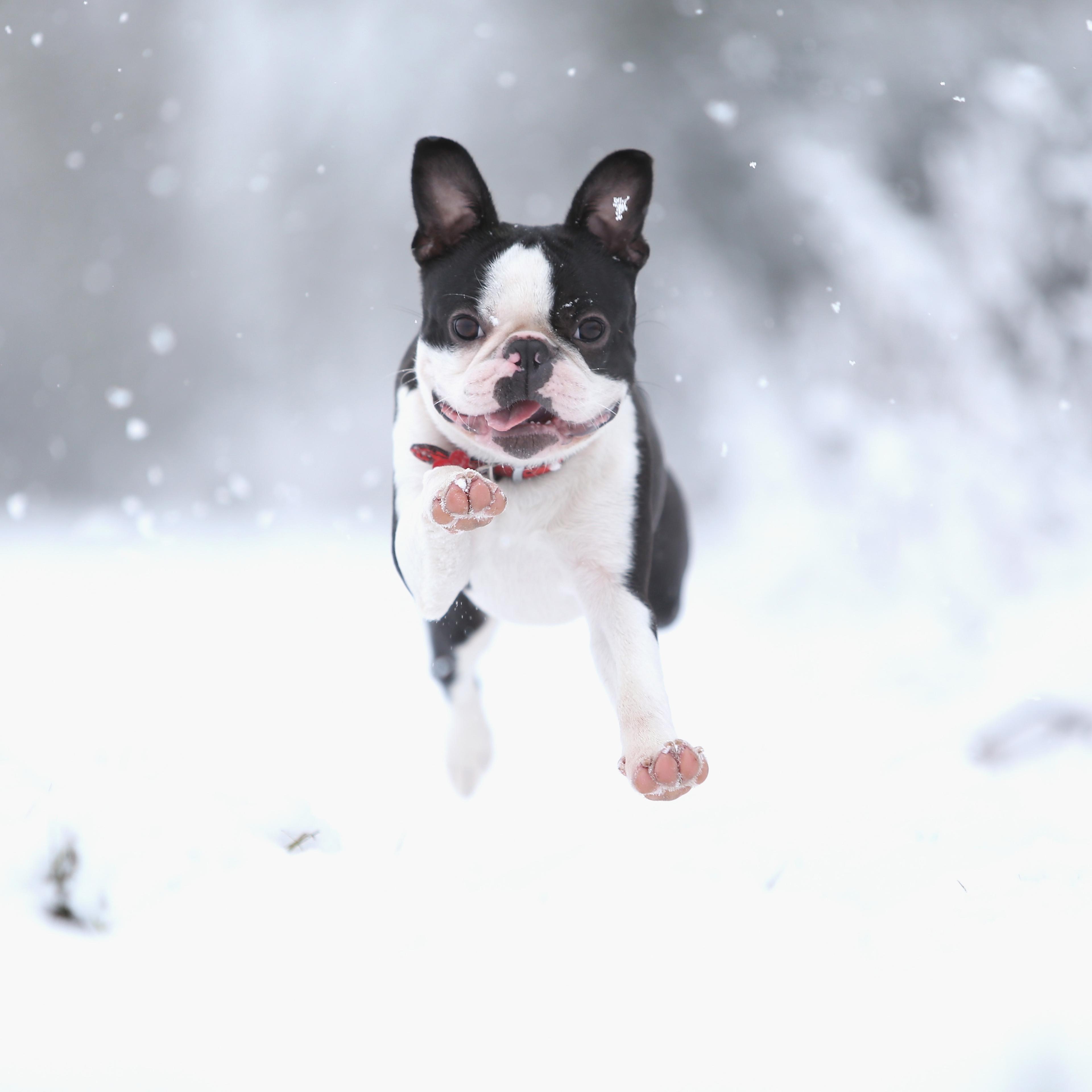 UK Hit By Heavy Snow Fall
