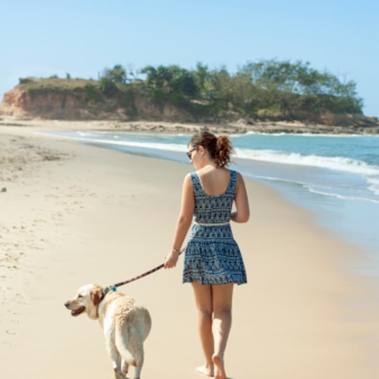 woman-walking-dog-rear-view
