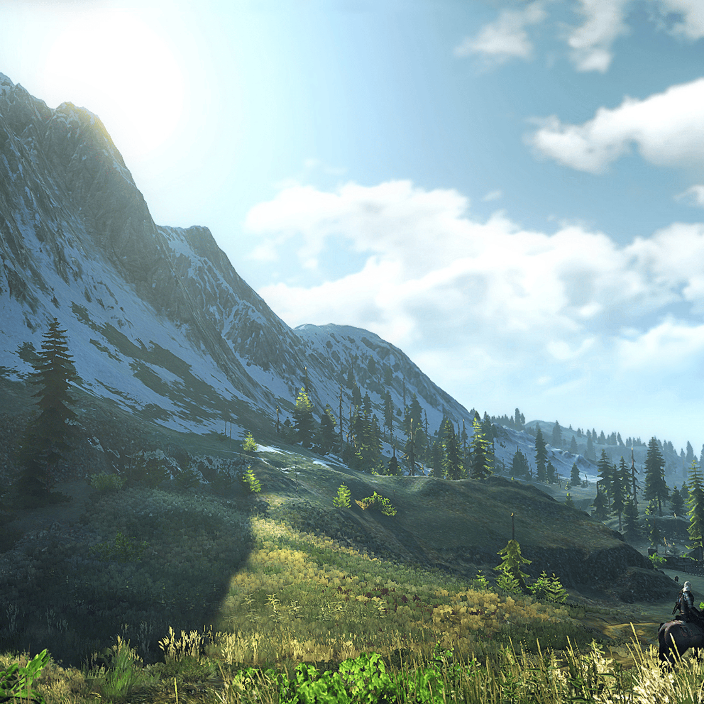 The Witcher 3 Wild Hunt