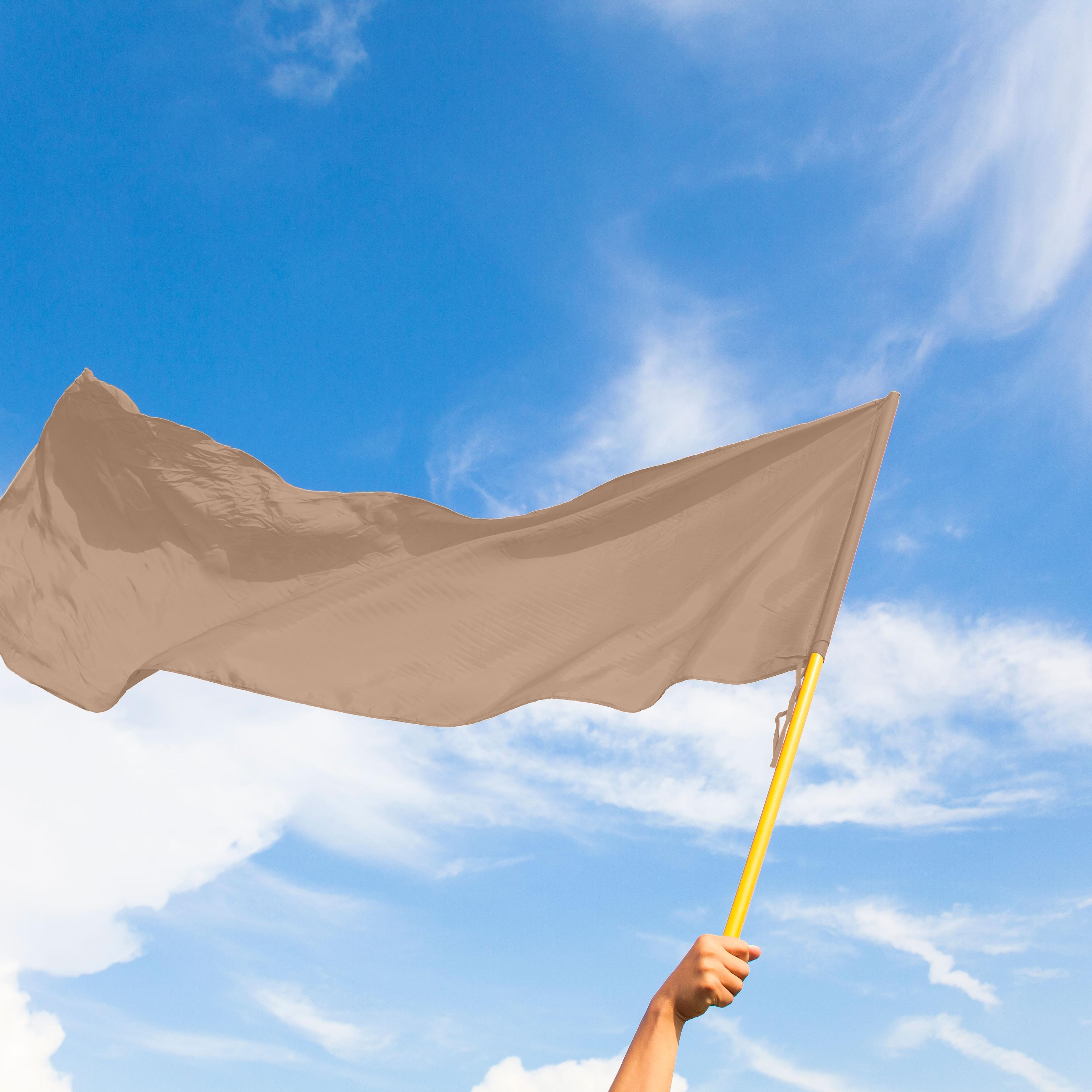 A hand holding a large flag that is the color beige with the blue sky and clouds behind it