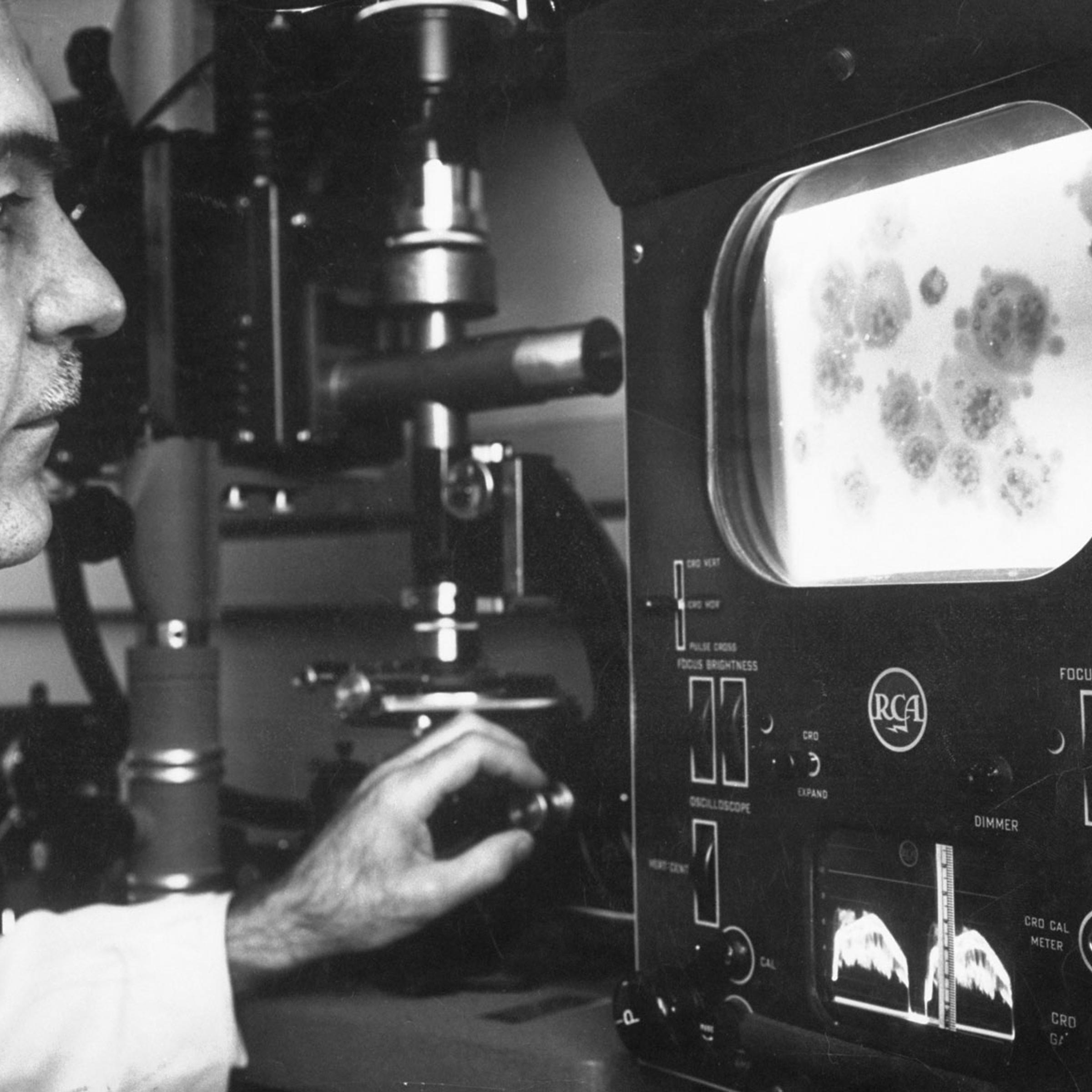 <strong>Caption from LIFE.</strong> "Diseased cells, enlarged 2,000 times, are studied by Dr. George Z. Williams at National Cancer institute, Bethesda, Md., on ultraviolet TV microscope he helped develop. It reveals enzyme action."