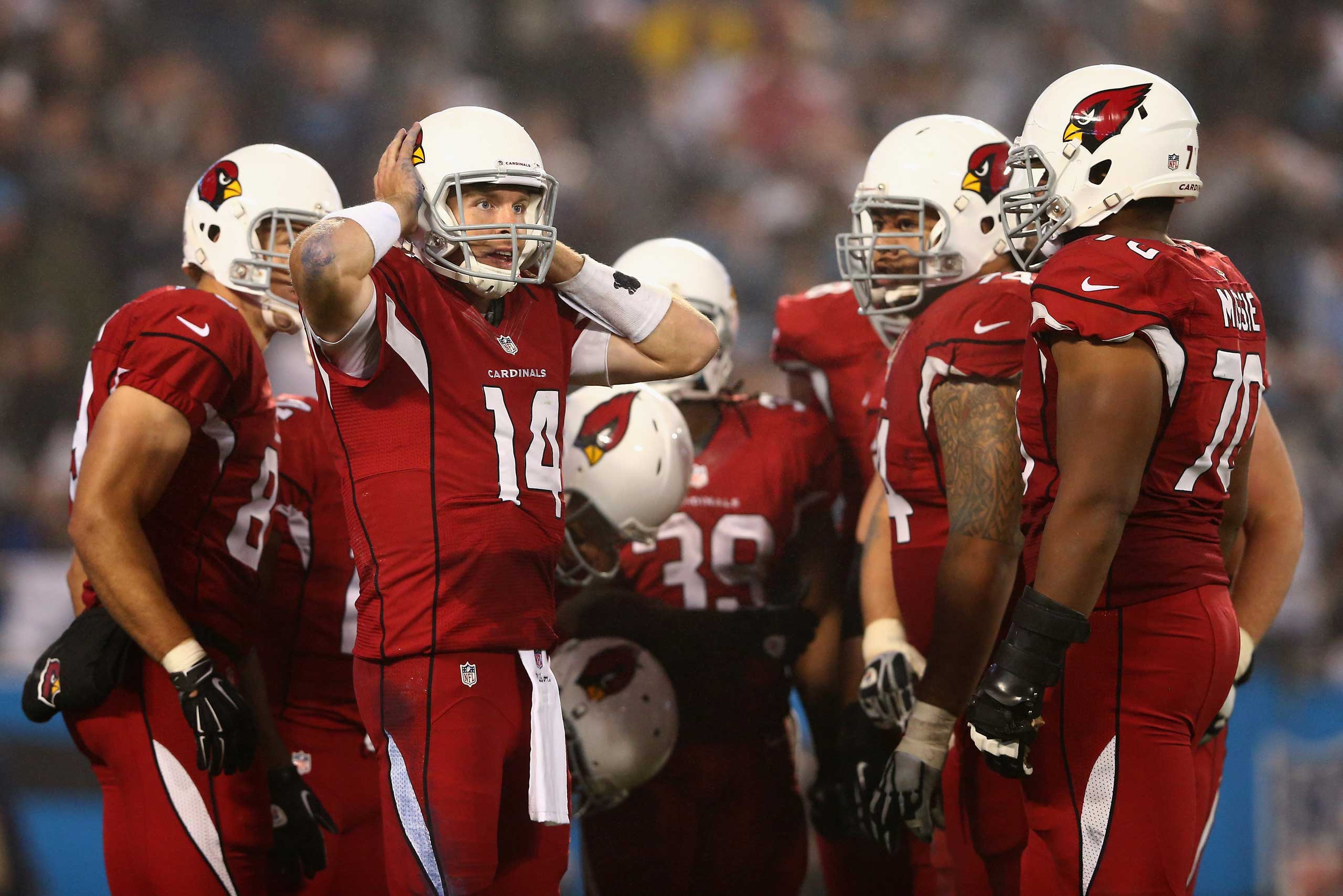 Wild Card Playoffs - Arizona Cardinals v Carolina Panthers
