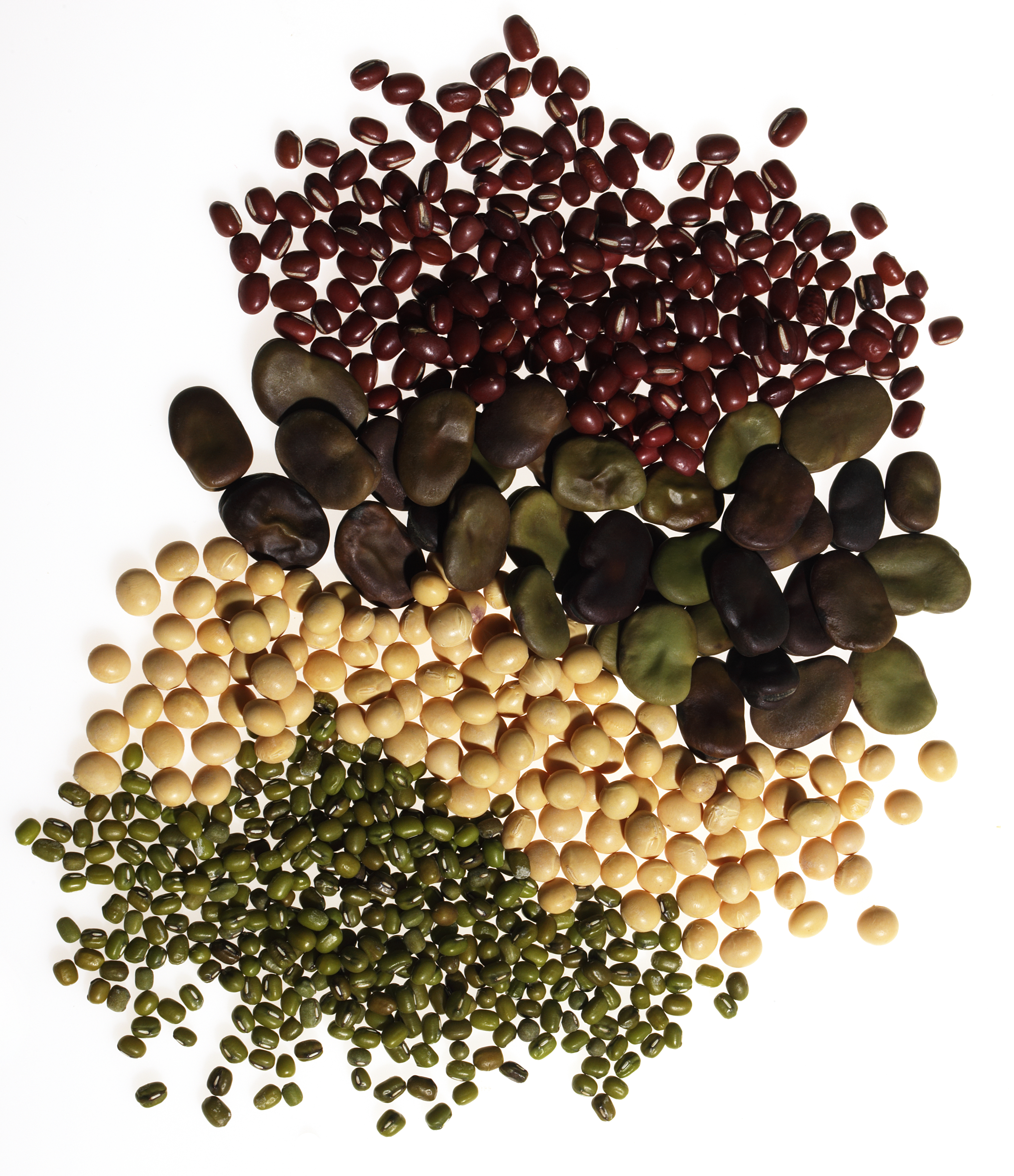 beans