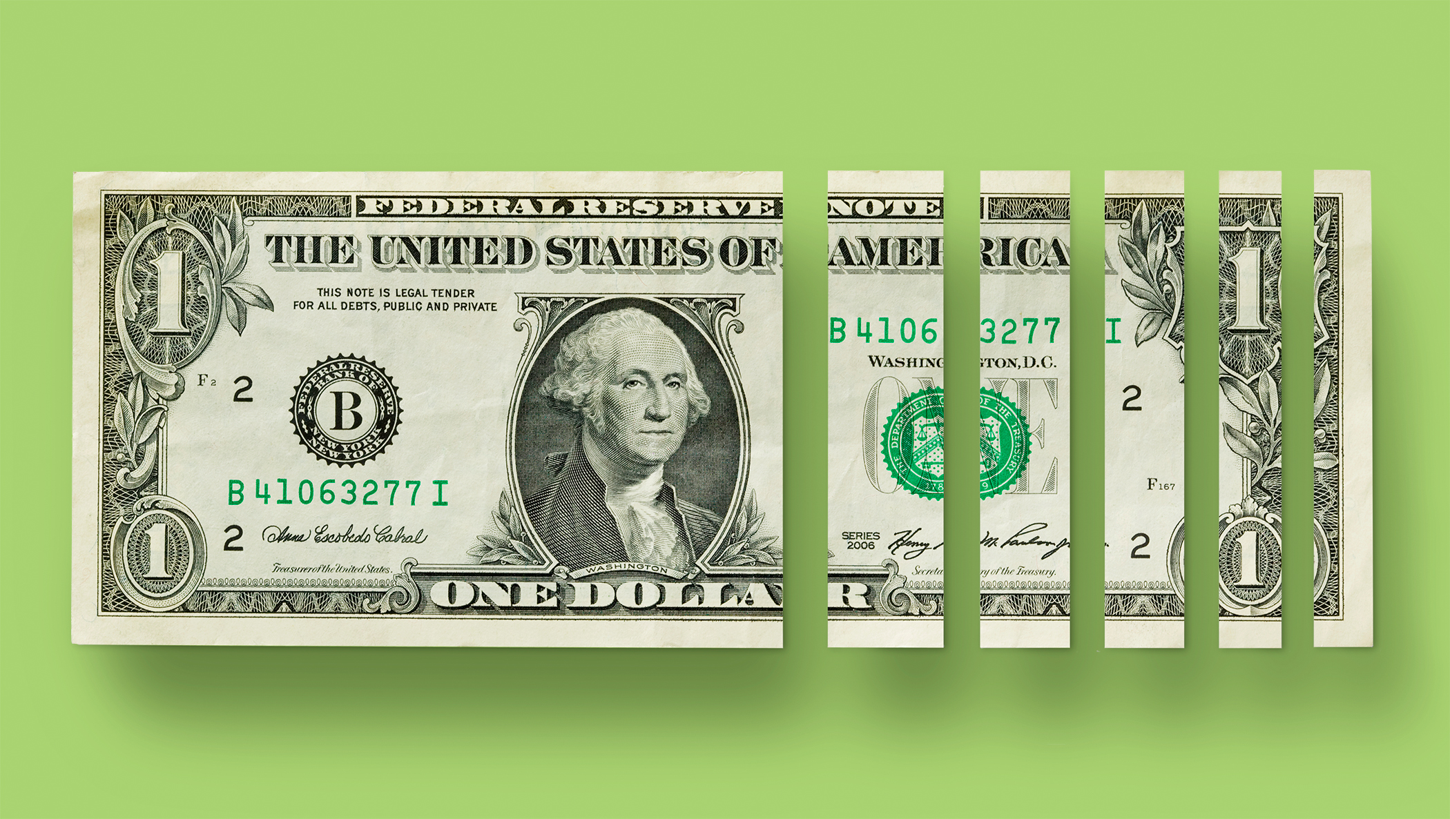 dollar bill sliced vertically into sections