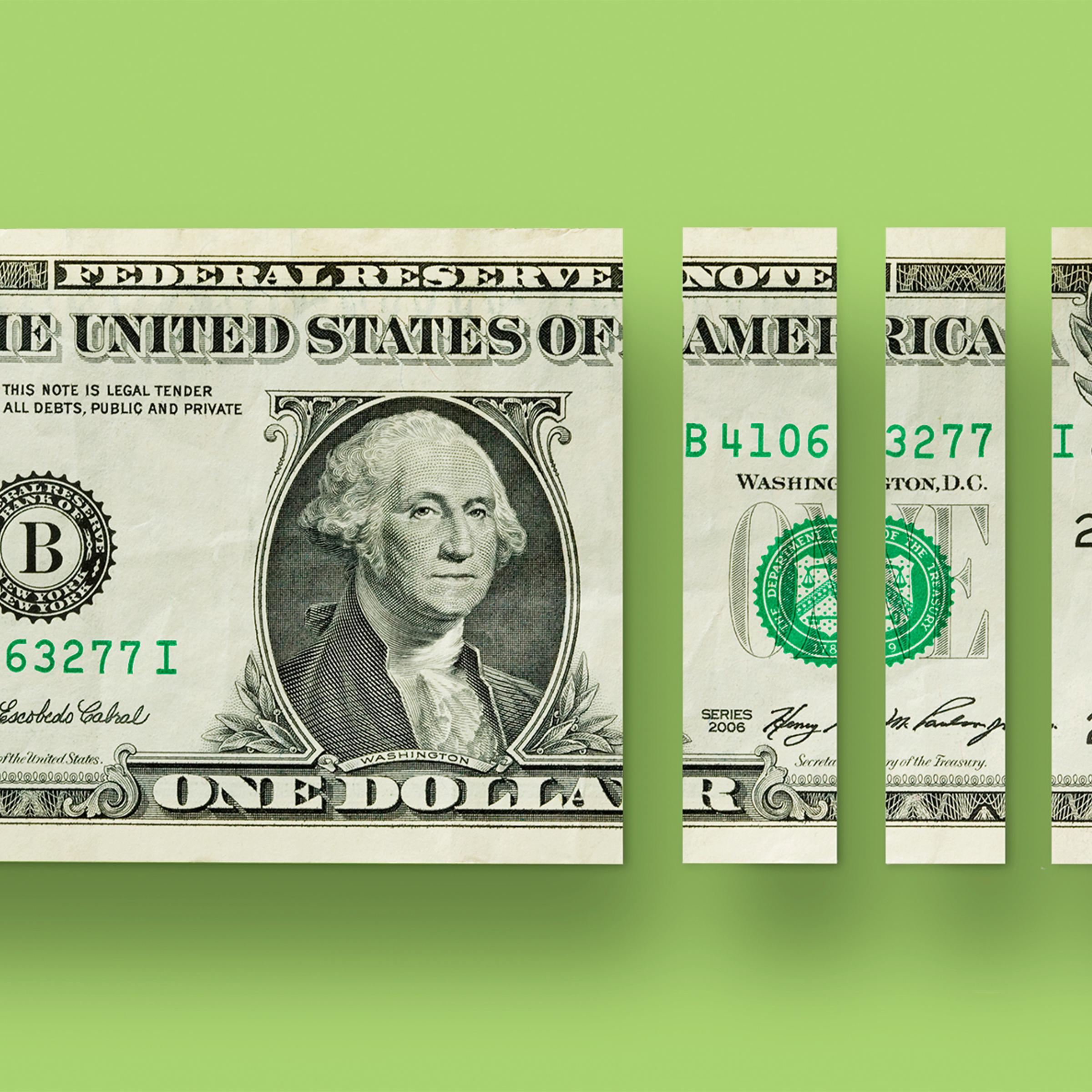 dollar bill sliced vertically into sections