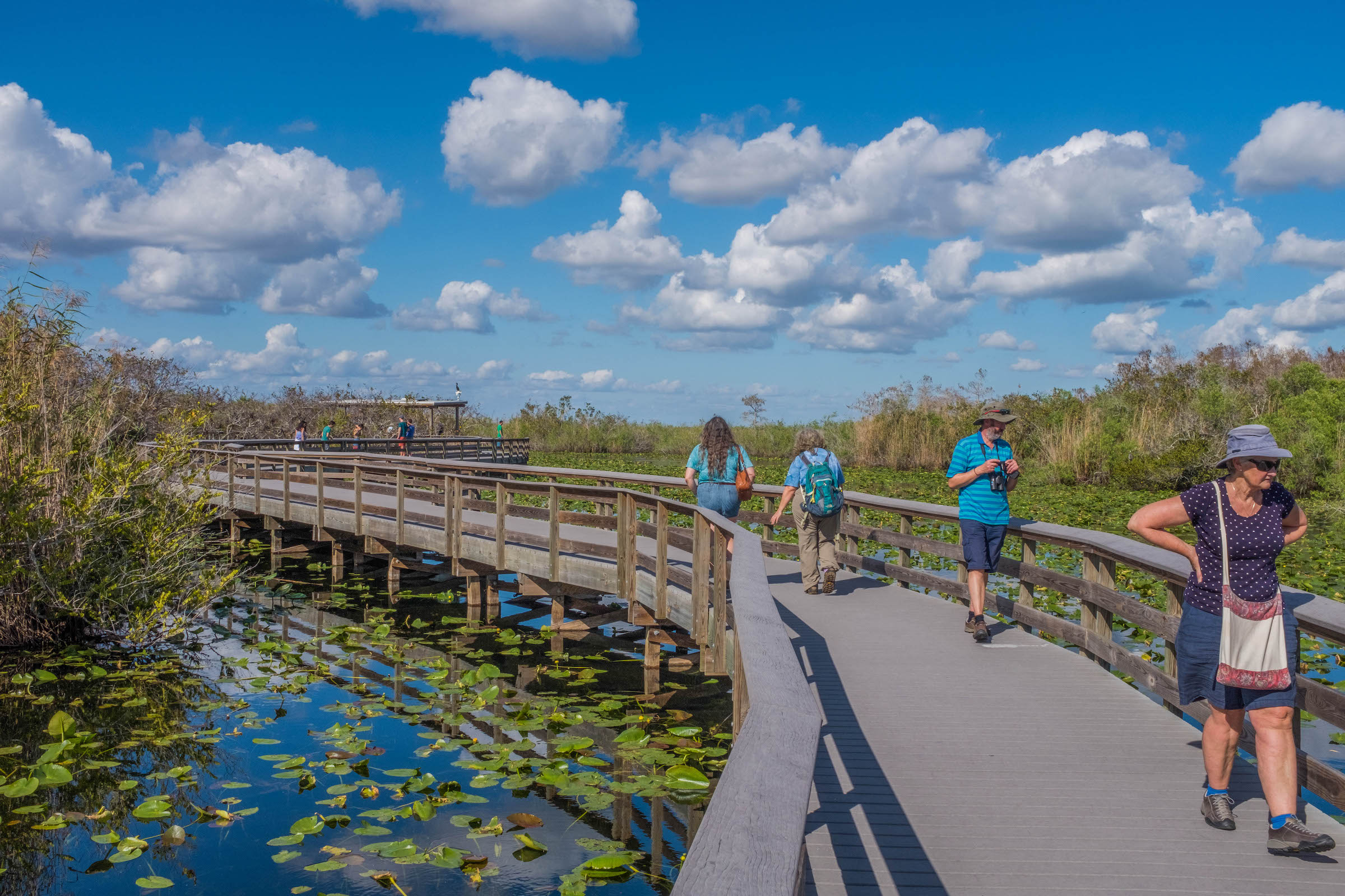 Parc National des Everglades