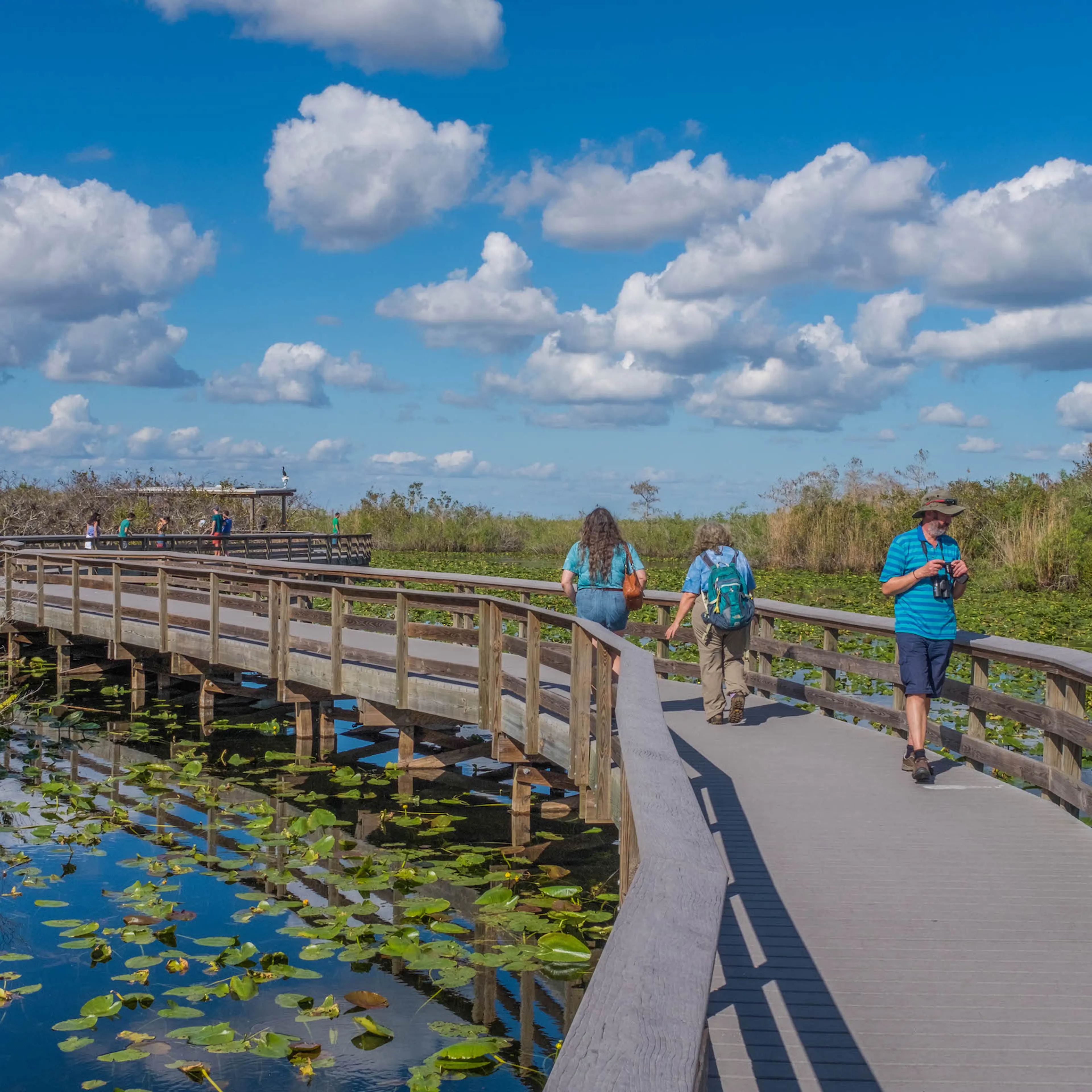 Parc National des Everglades