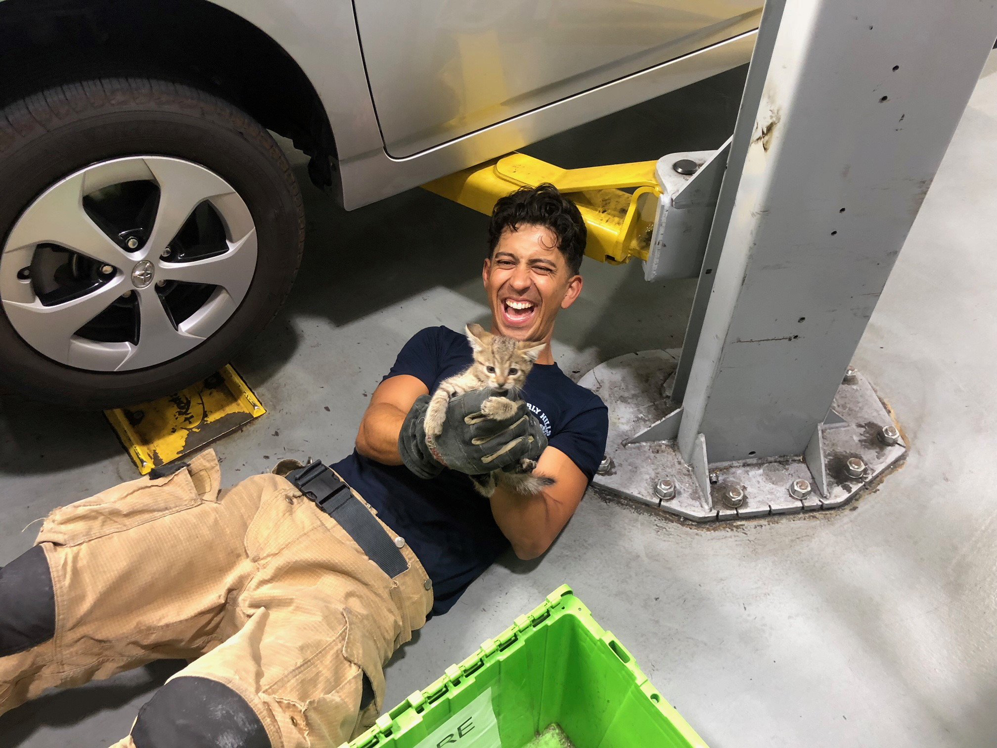Beverly Hills fire fighters rescue a kitten stuck in a Prius engine compartment.