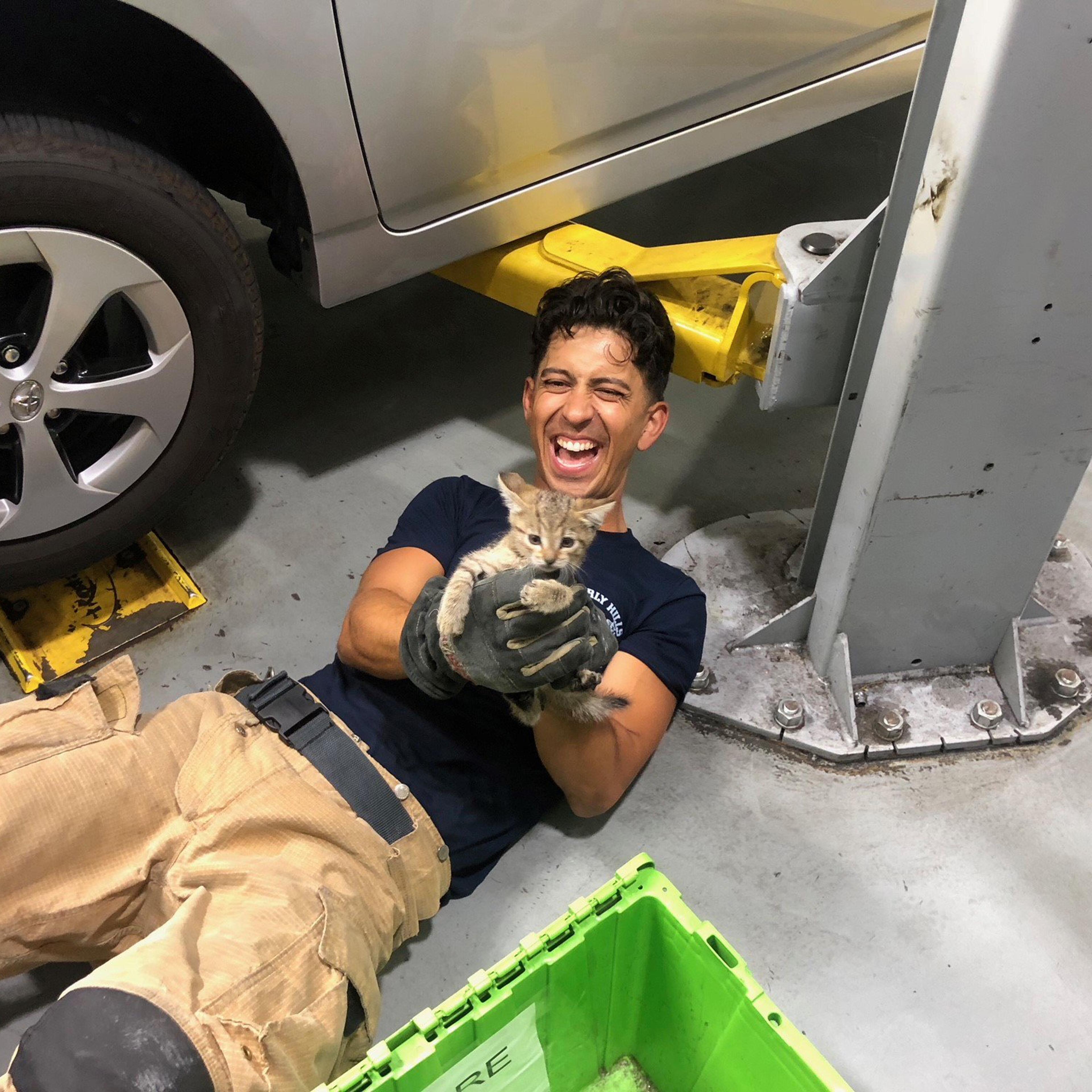 Beverly Hills fire fighters rescue a kitten stuck in a Prius engine compartment.